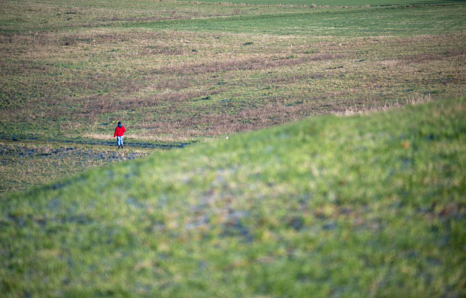 In Rheinland-Pfalz und dem Saarland bleibt es frisch. (Symbolbild)