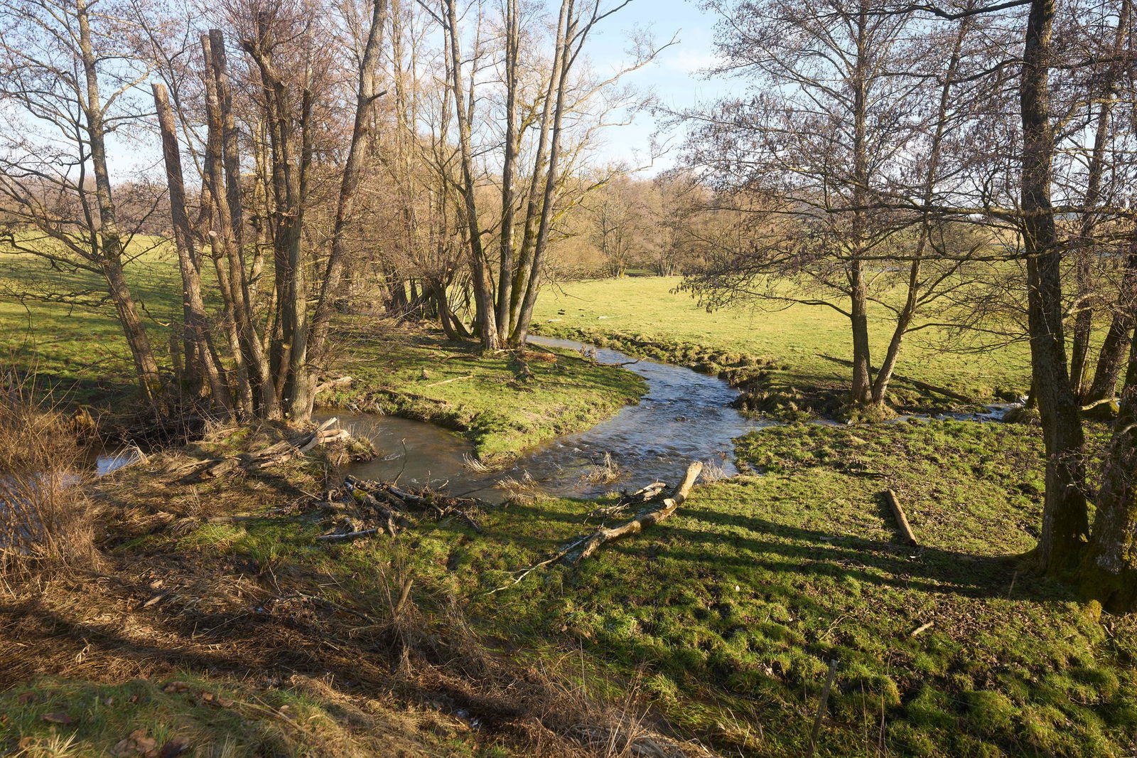 In Rheinland-Pfalz und dem Saarland wird es sonnig. (Symbolbild)