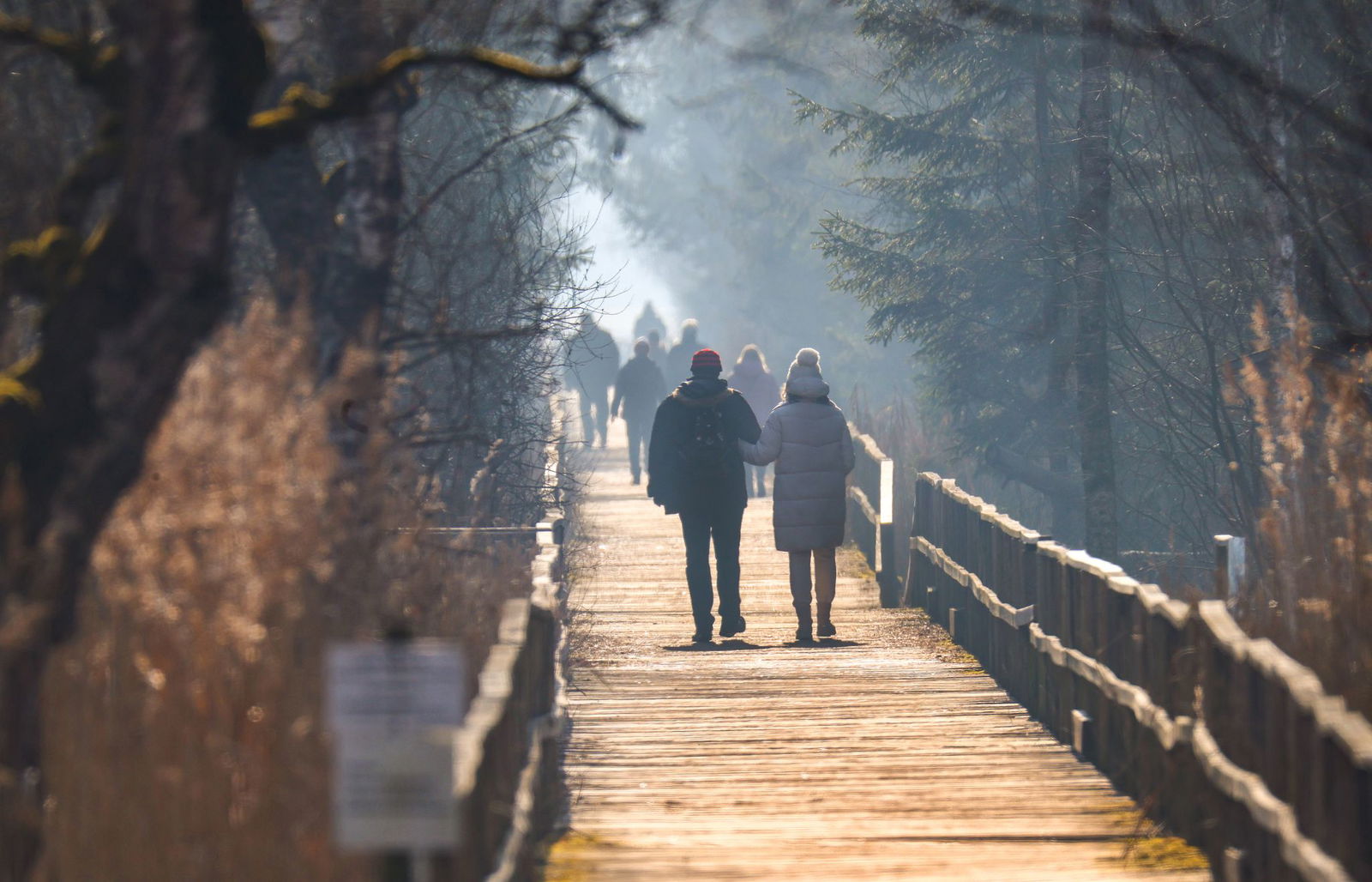 Die kommende Woche bringt viel Sonnenschein und mildes Wetter nach Baden-Württemberg. (Symbolbild)