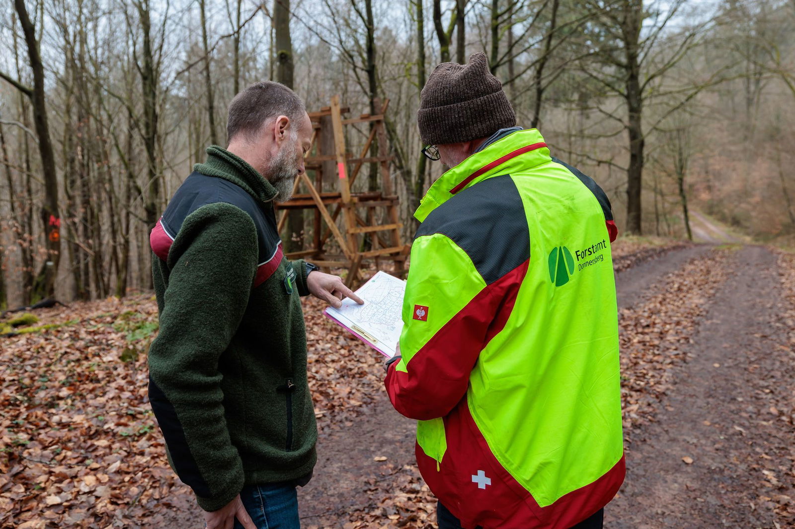 Die Jagd ist wichtig für den Erhalt des Waldes. 