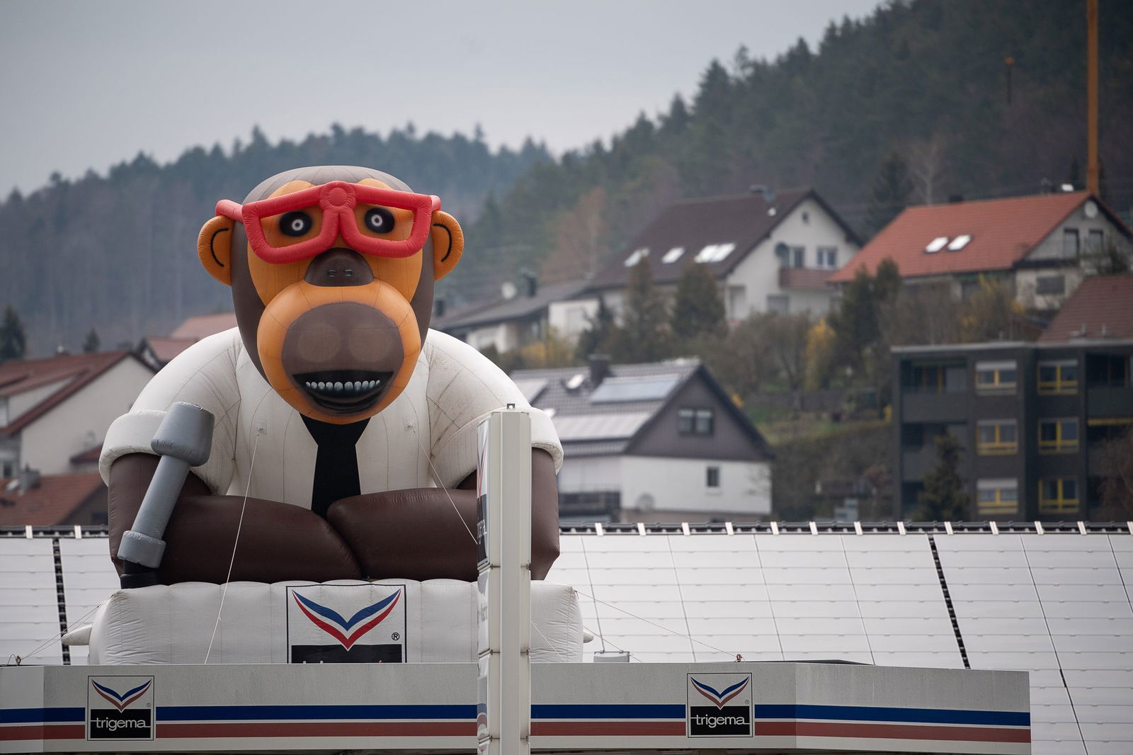 Auch aufgeblasen gibt es den Trigema-Affen - hier auf dem Dach der Firmenzentrale in Burladingen. (Archivbild)