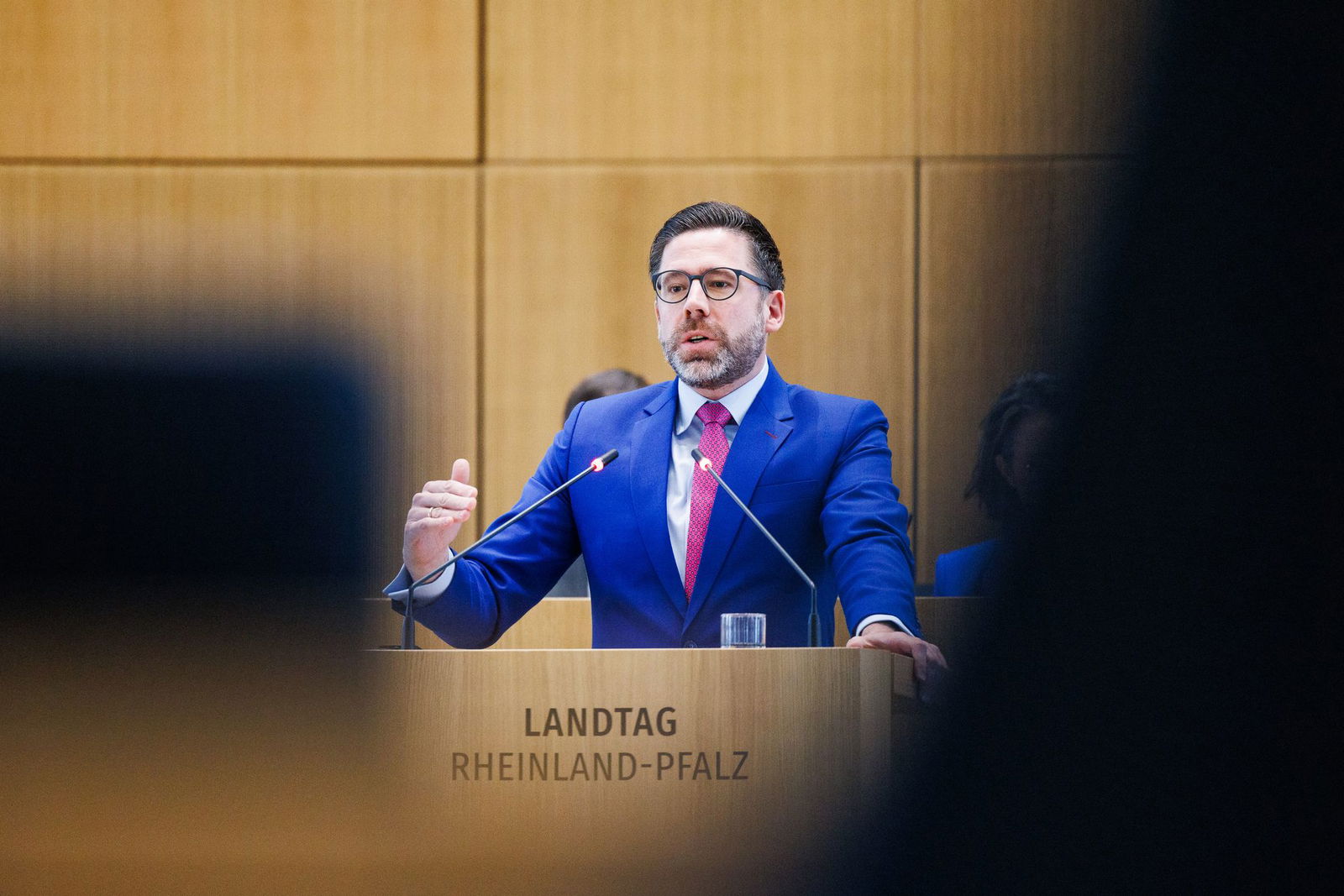 FDP-Fraktionschef Fernis geht keinem Rededuell im Landtag aus dem Weg. (Archivbild)
