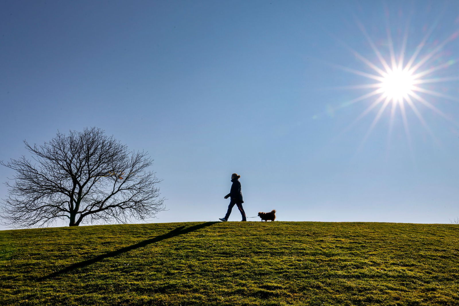 Es wird frühlingshaft - Sonne und milde Temperaturen in der neuen Woche. (Archivbild)