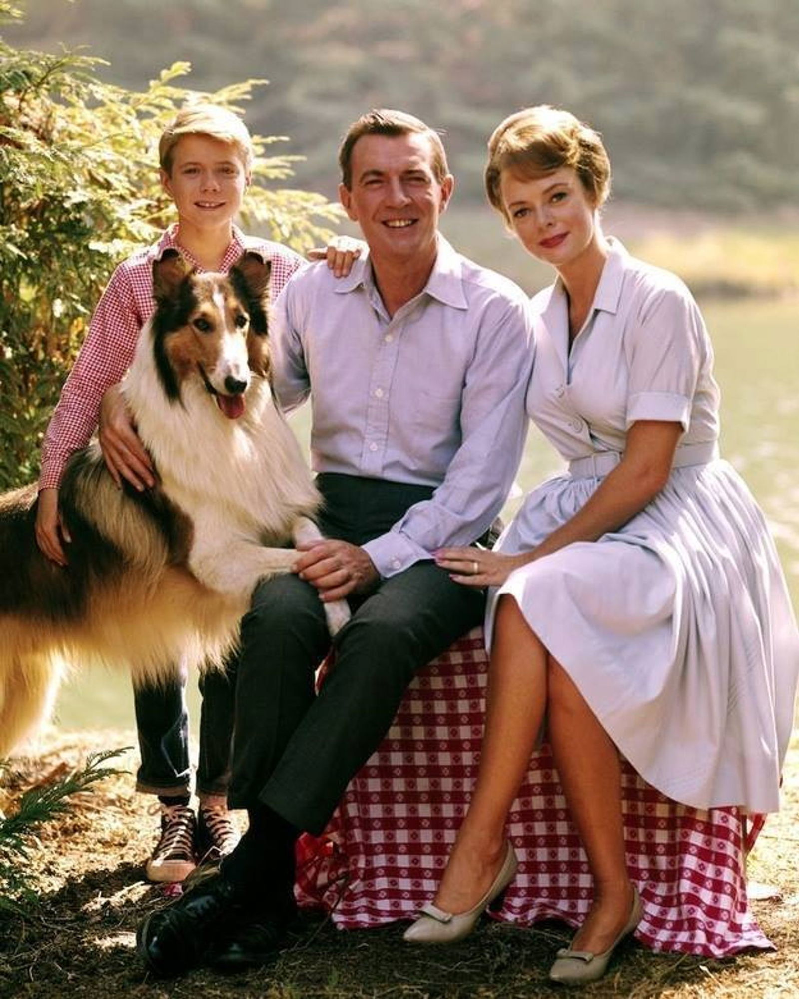 «Lassie» zählte zu den beliebtesten amerikanischen TV-Serien. (Handout) 