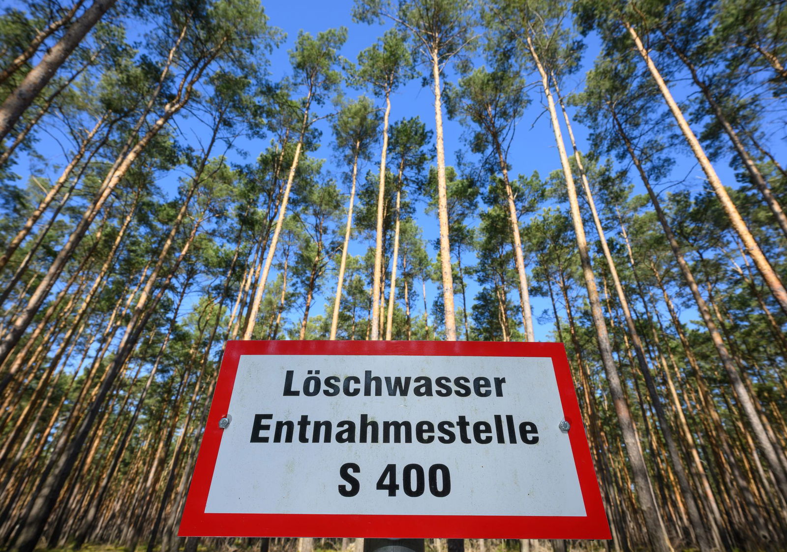 Auch in Rheinland-Pfalz hat die Waldbrandsaison bereits begonnen. (Symbolbild)