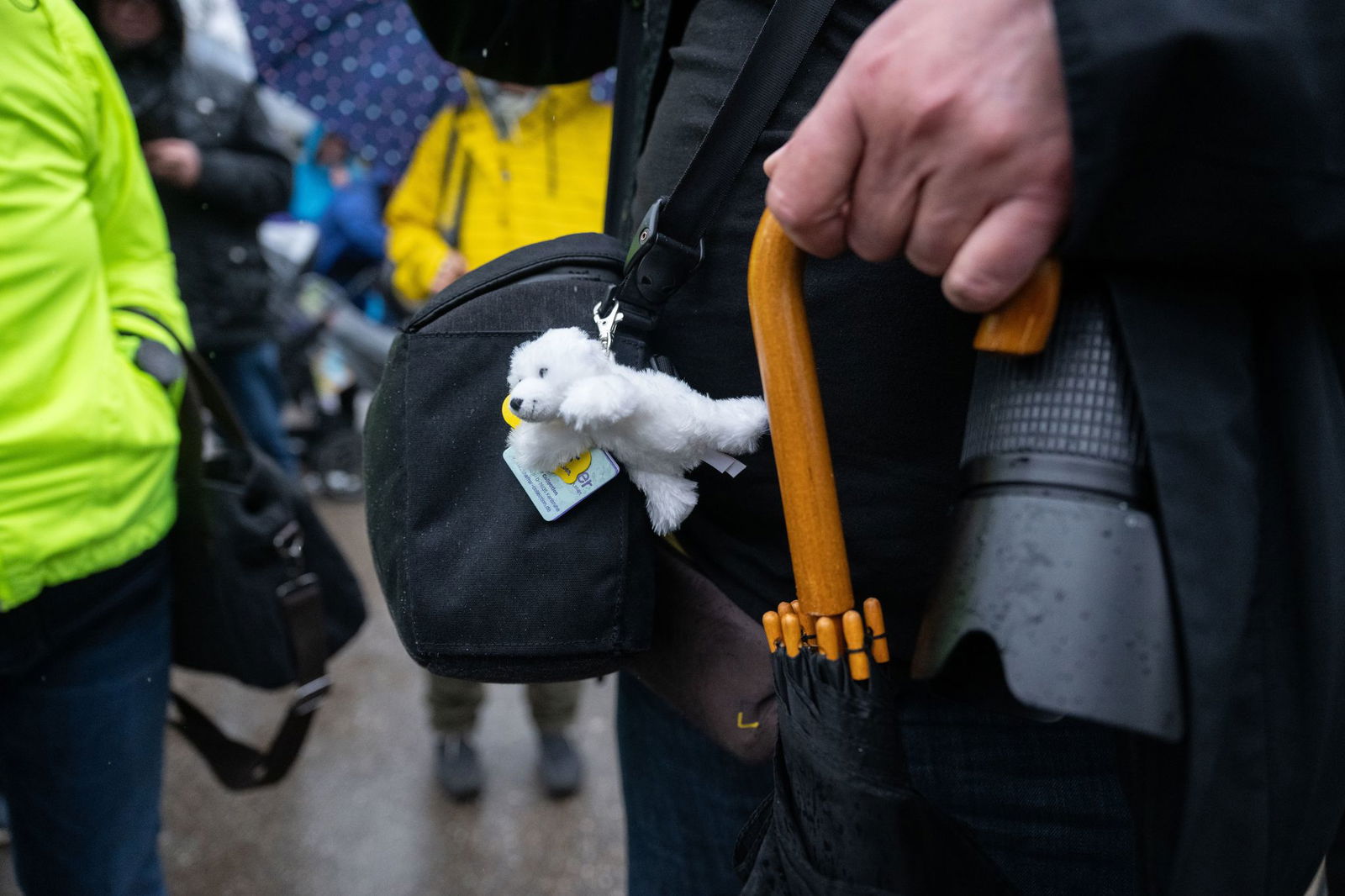 Hallo Mika! - Besucher dürfen zu Eisbär-Baby Mika.