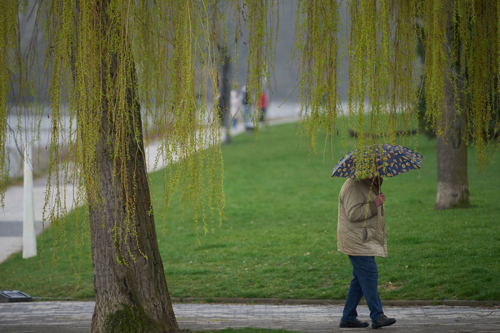 Nach viel Sonne muss am Samstag wieder der Regenschirm hervorgeholt werden (Archivbild).