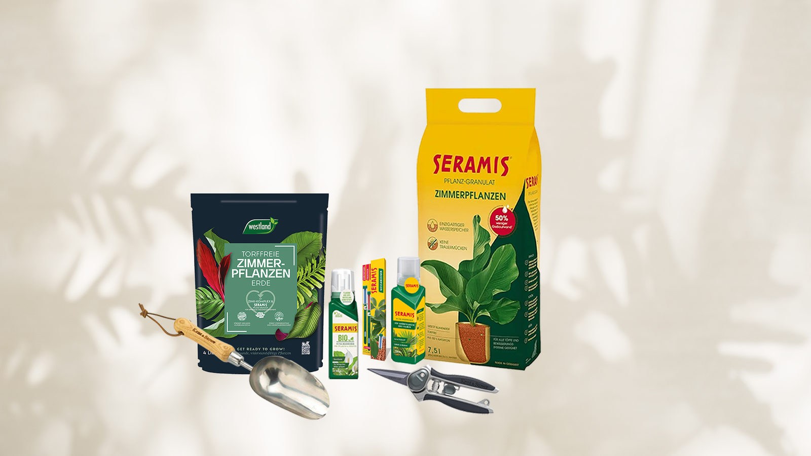 Topf statt Strauß – Schenke Immergrün!