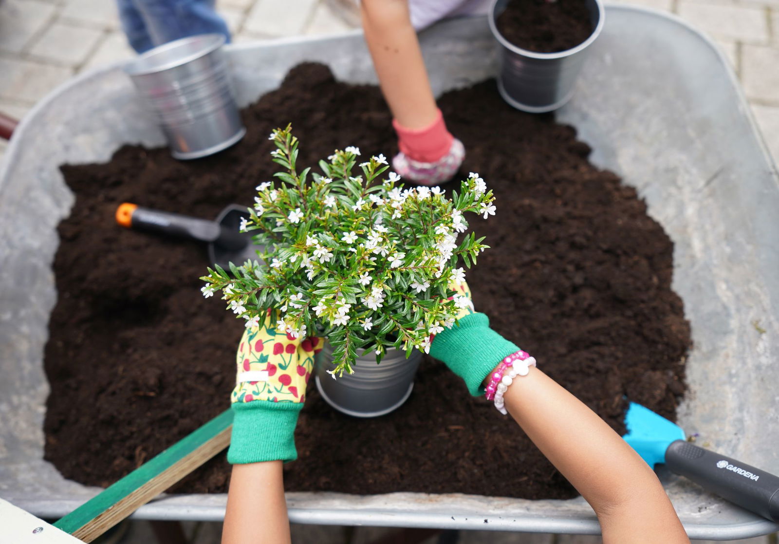 Beim Diebesgut handelt es sich um handelsübliche Blumenerde. (Symbolbild)