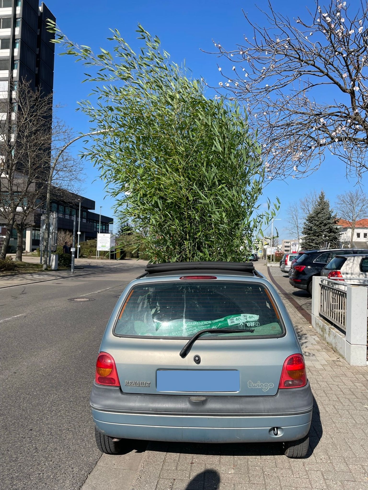 Ein Auto als rollendes Gewächshaus - das war ein Fall für die Polizei. 