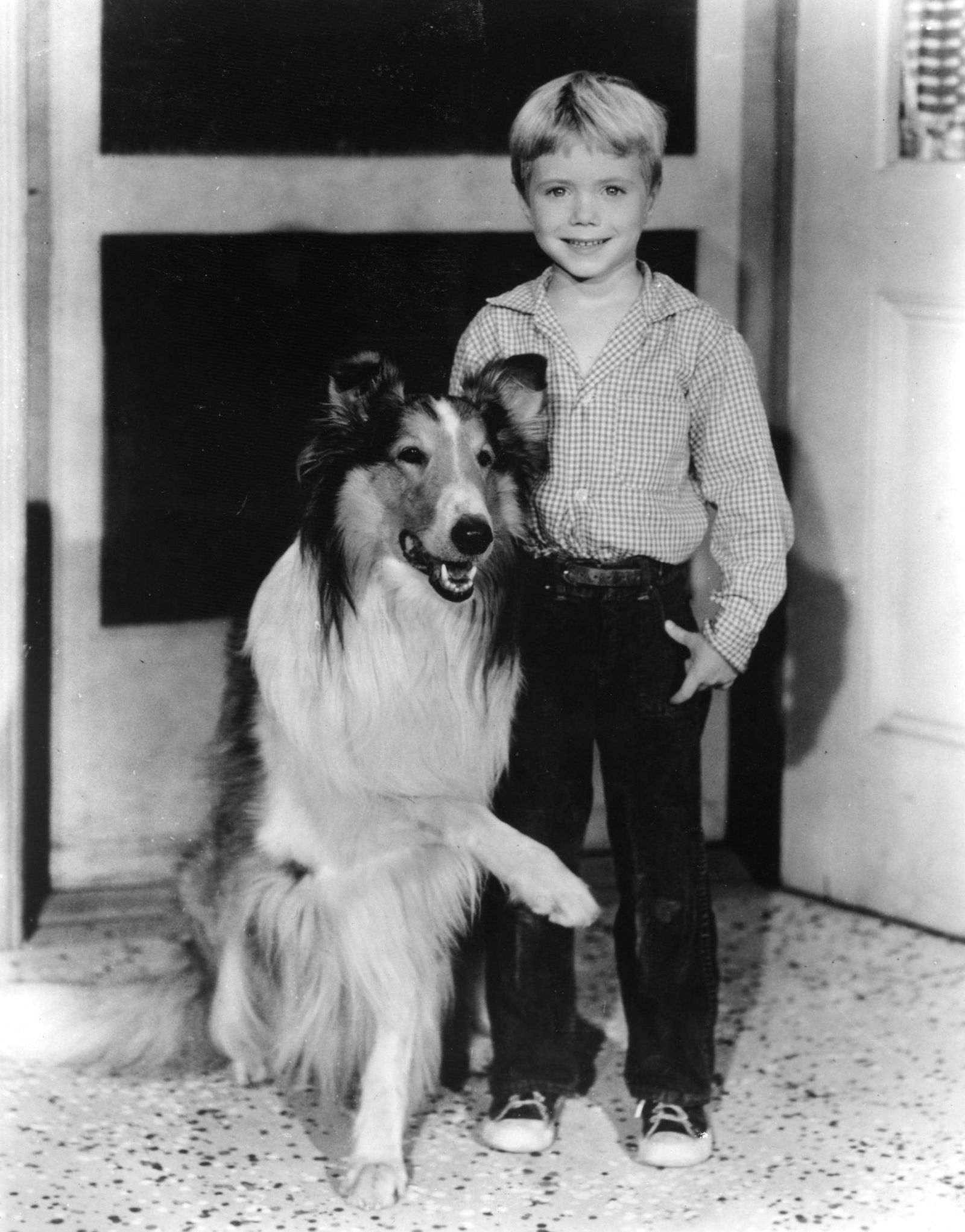 Im Laufe seiner «Lassie»-Karriere drehte Jon Provost mit drei Collies. (Handout) 