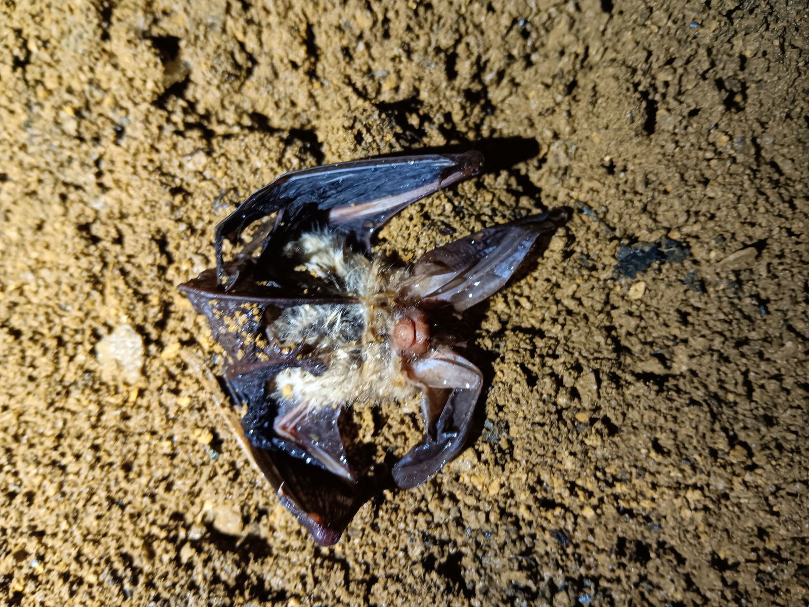 Der Zollernalbkreis hat Anzeige gegen Unbekannt erstattet. (Symbolbild)