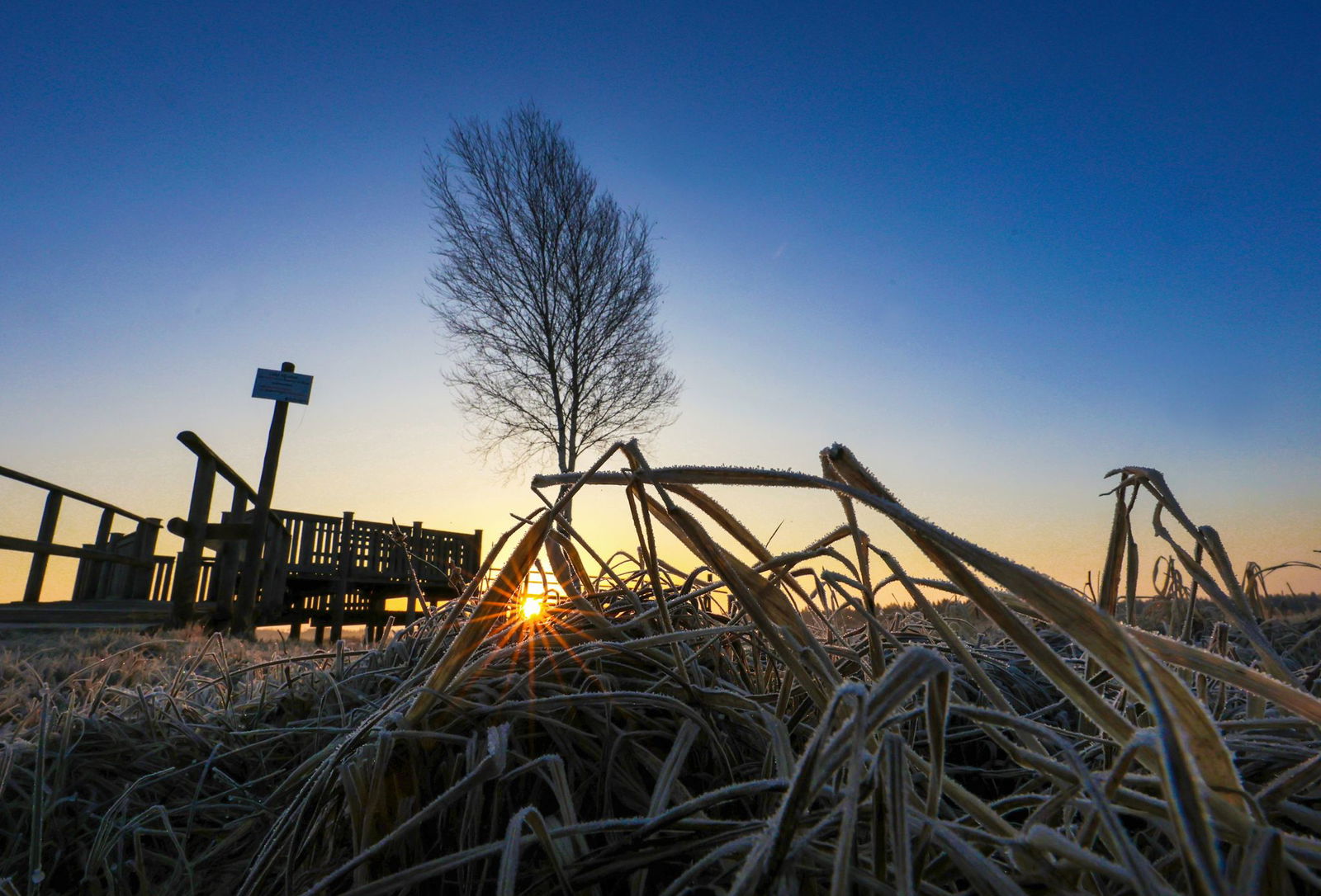 Noch zu Beginn der Woche fallen die Temperaturen nachts unter den Gefrierpunkt. (Symbolbild)
