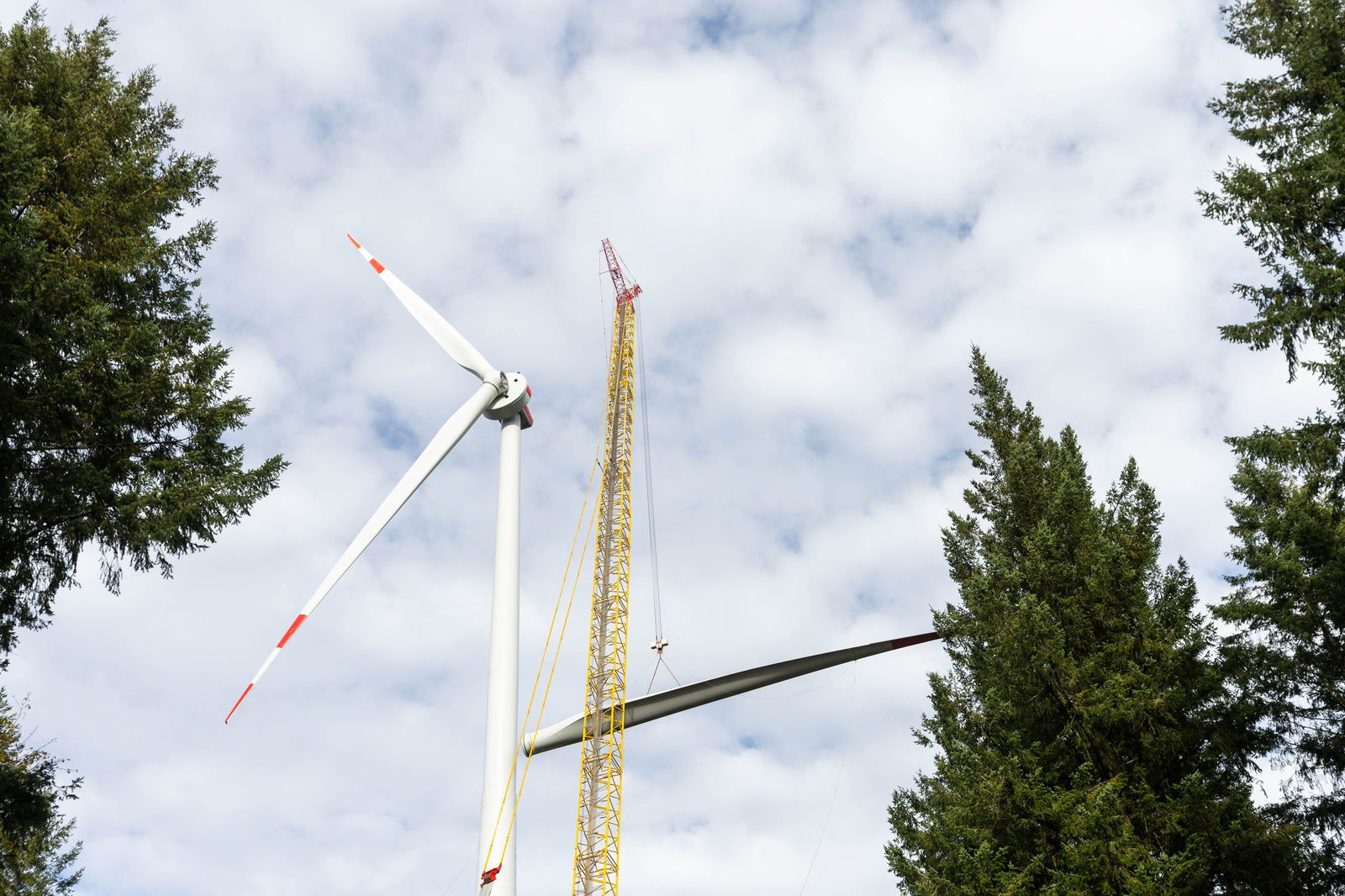 Windräder auf den Höhenzügen des Schwarzwaldes könnten es nach Einschätzung von Baden-Württembergs Umweltministerin künftig schwerer haben. (Archivbild)