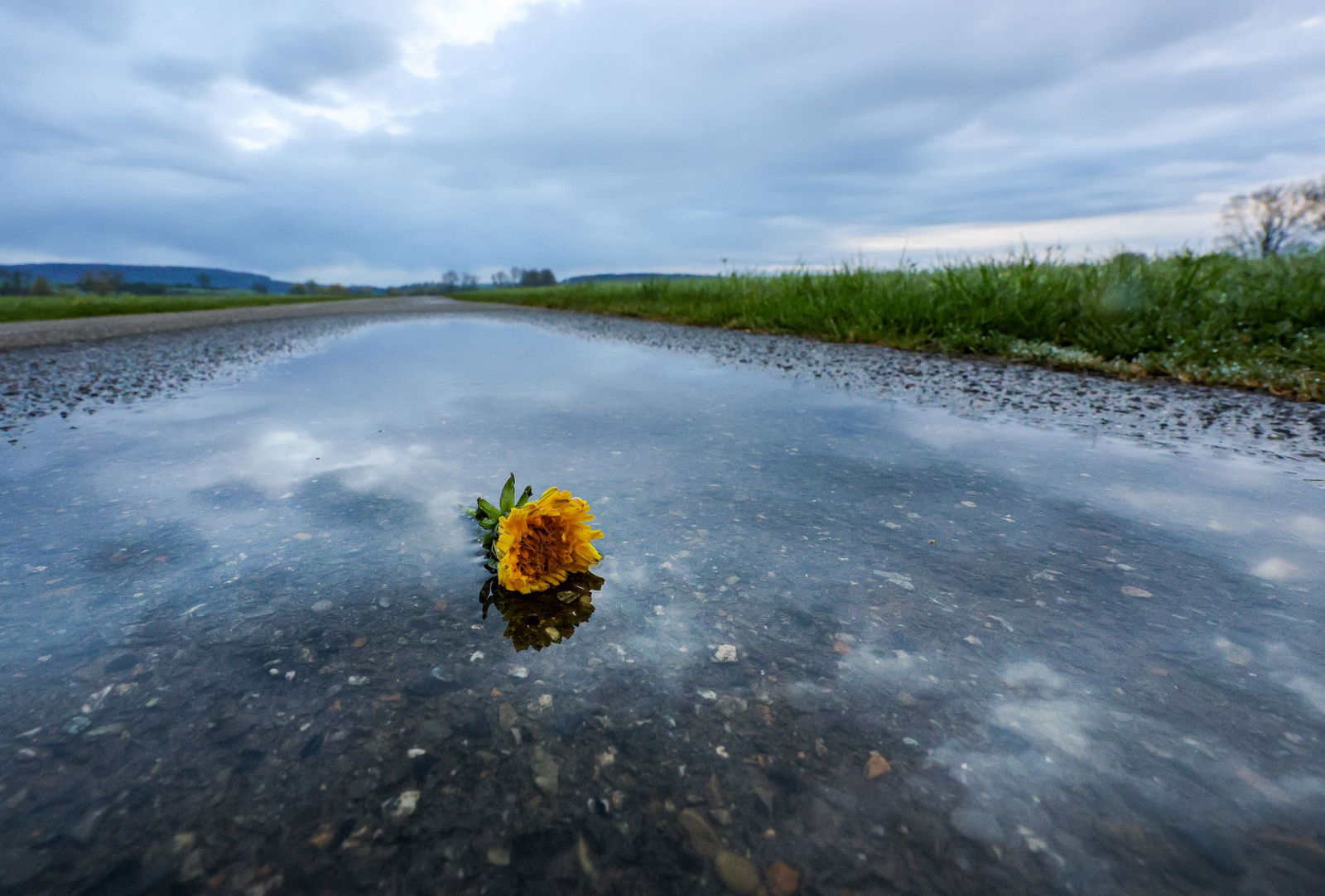Das Wetter nach Ostern ist meist trüb, sagt der DWD.  