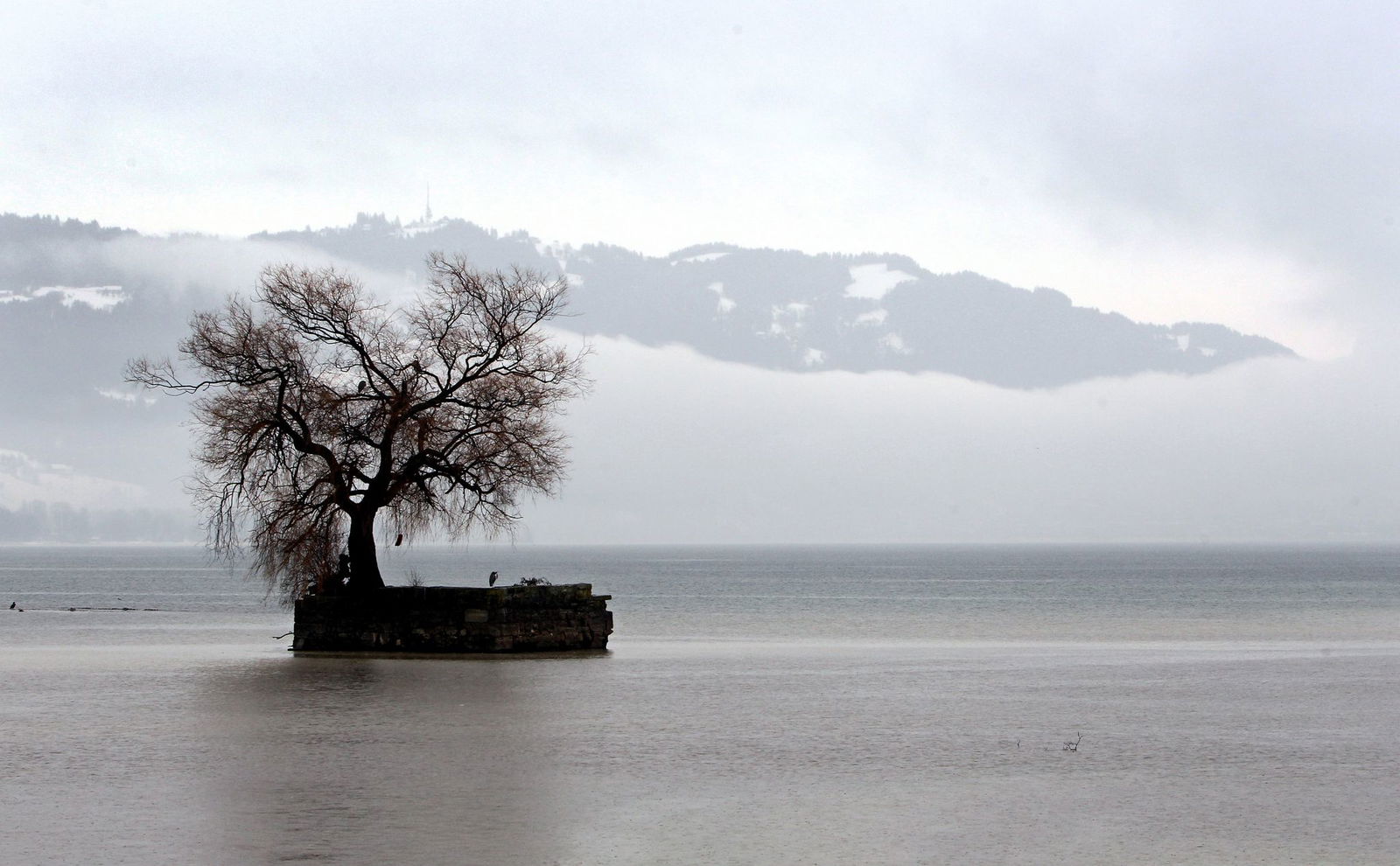So sah die Insel Hoy noch vor 15 Jahren aus. (Archivbild) 