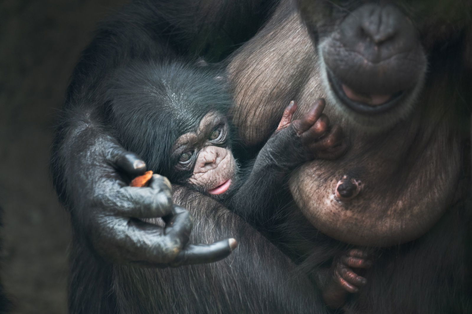 Wasili weicht ihrer Mutter nie von der Seite. (Handout)