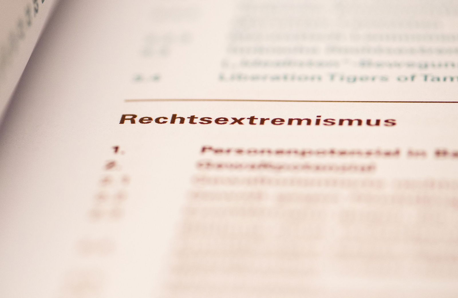 Wie kommt Rechtsextremismus in heutiger Zeit daher? Wie kann dagegen angegangen werden? Das sind zentrale Themen der Weiterbildung. (Symbolbild)