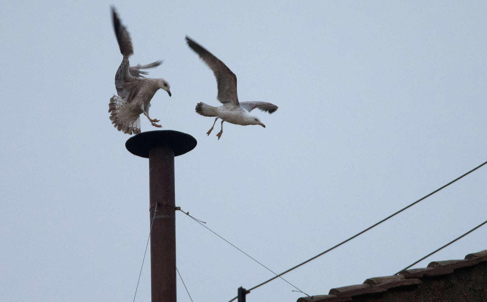 Dieser kleine Schornstein im Vatikan spielt eine bedeutende Rolle für die Zukunft der katholischen Kirche. (Archivbild)