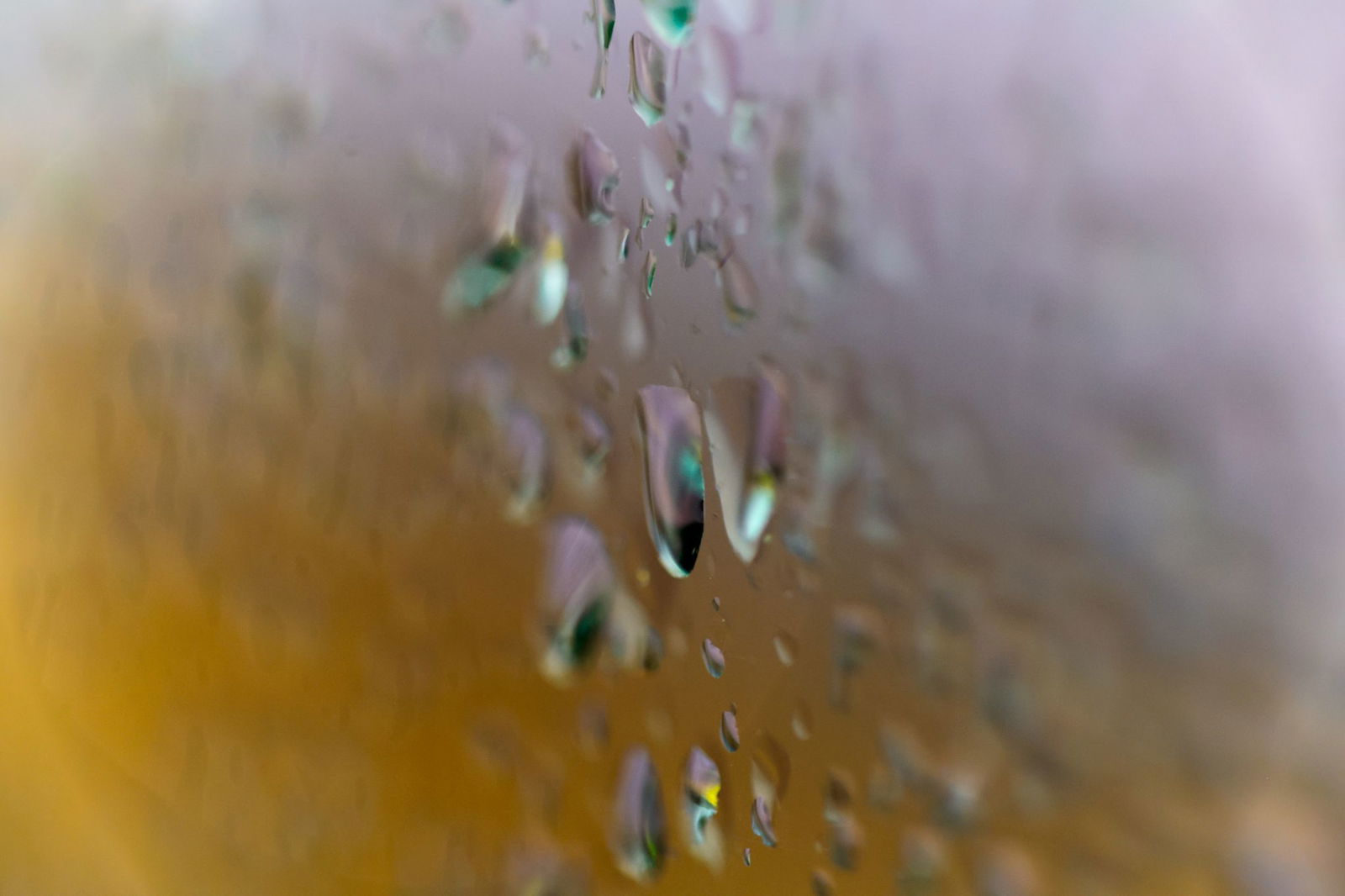 Es kann in den kommenden Tagen immer wieder Regen fallen (Symbolbild).