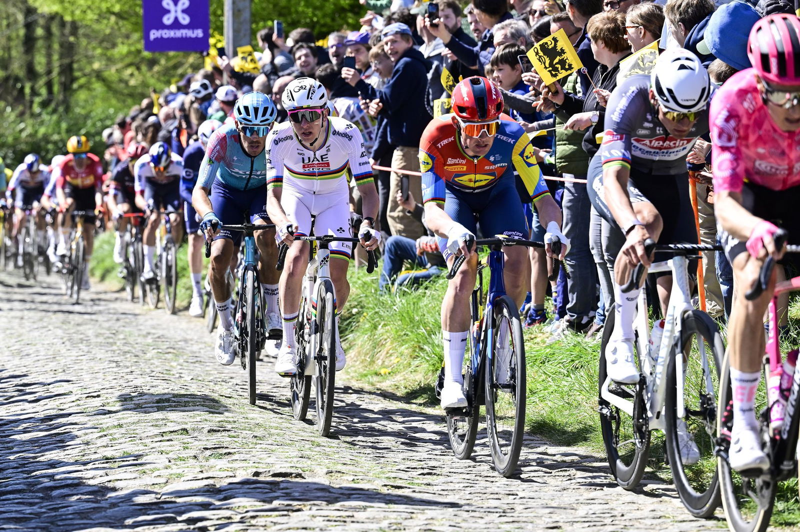 Der Slowene Tadej Pogacar (4.v.r) bei der Flandern-Rundfahrt.