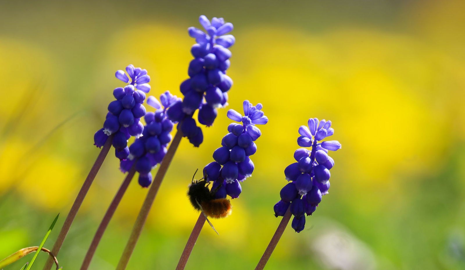 Sonnig, warm und trocken wird es am Ostersonntag - aber nur von kurzer Dauer. (Symbolbild)