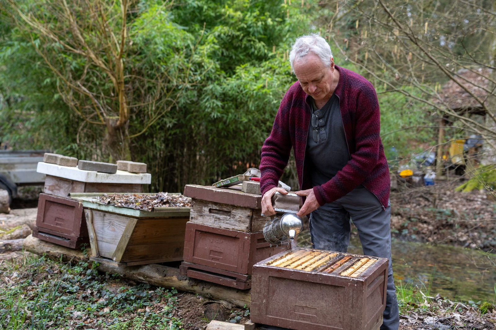 Viele Imker sind von den Bienenvölkern faszinert.
