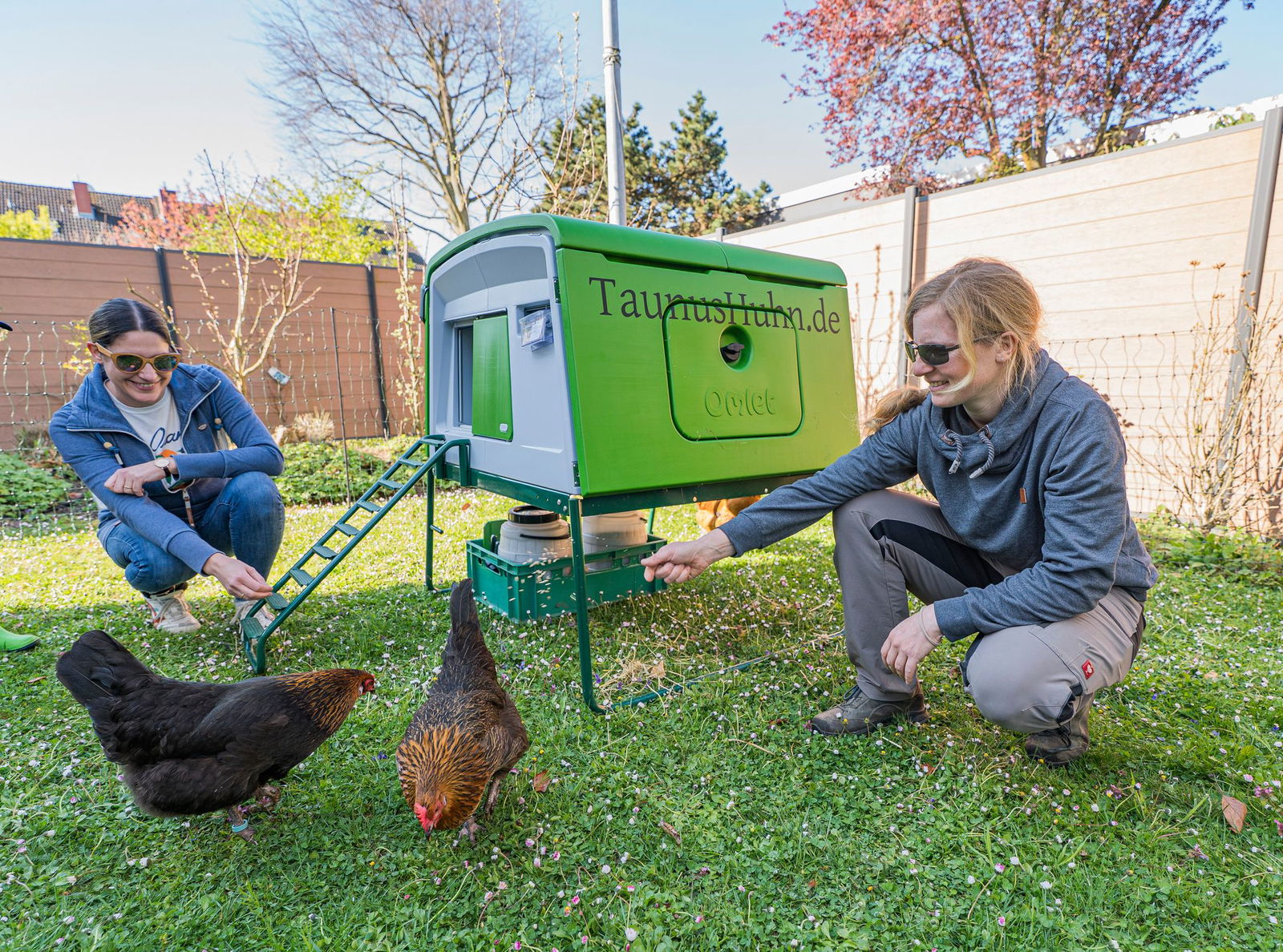 Bei der Hühnerhaltung muss einiges beachtet werden.  