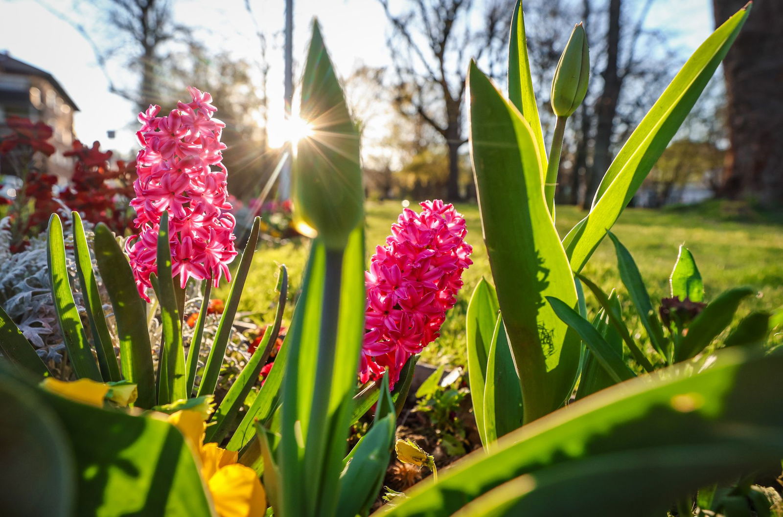 Auch in der kommenden Woche soll die Sonne scheinen.