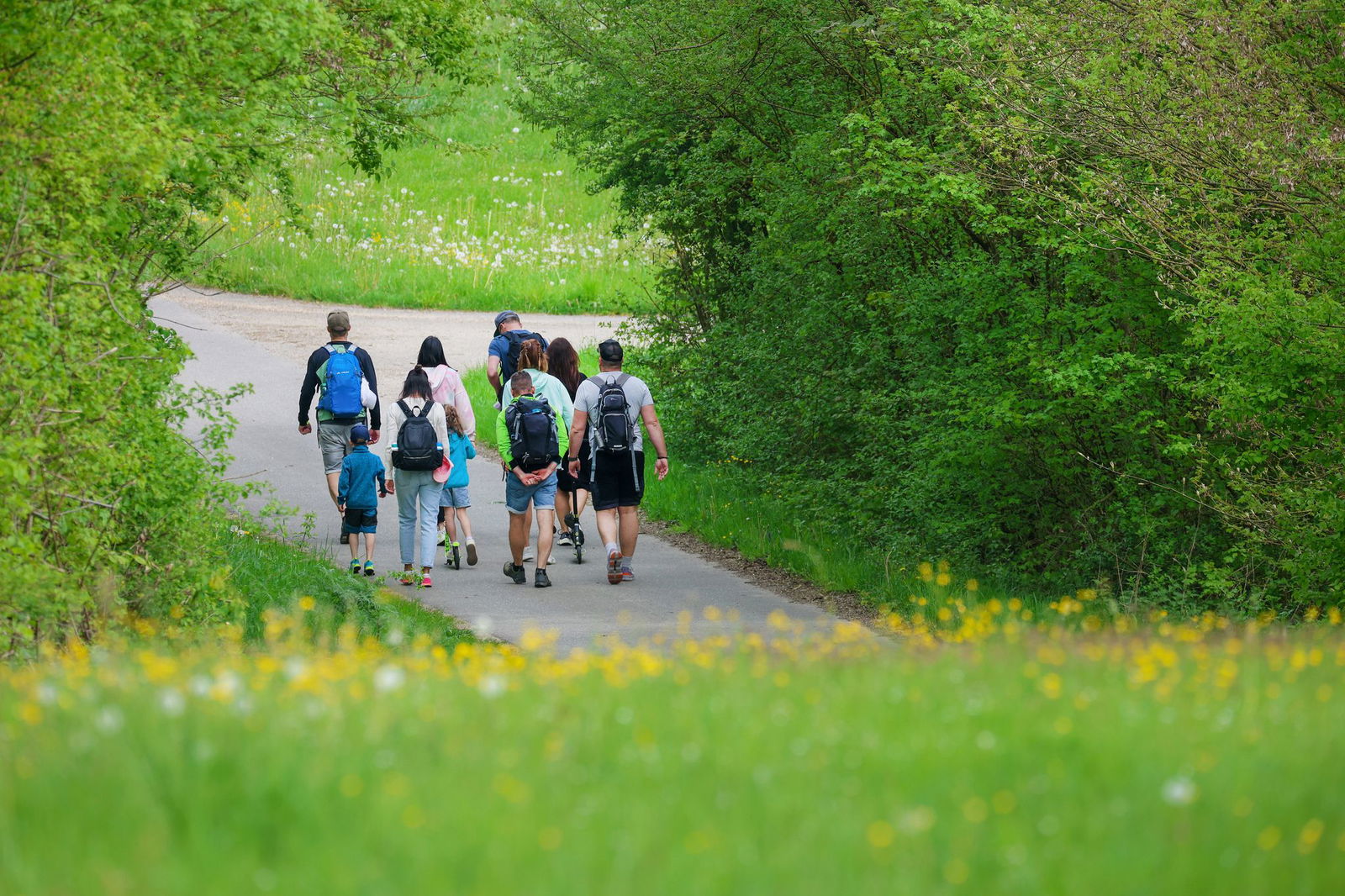 Zecken lauern oft am Wegesrand.