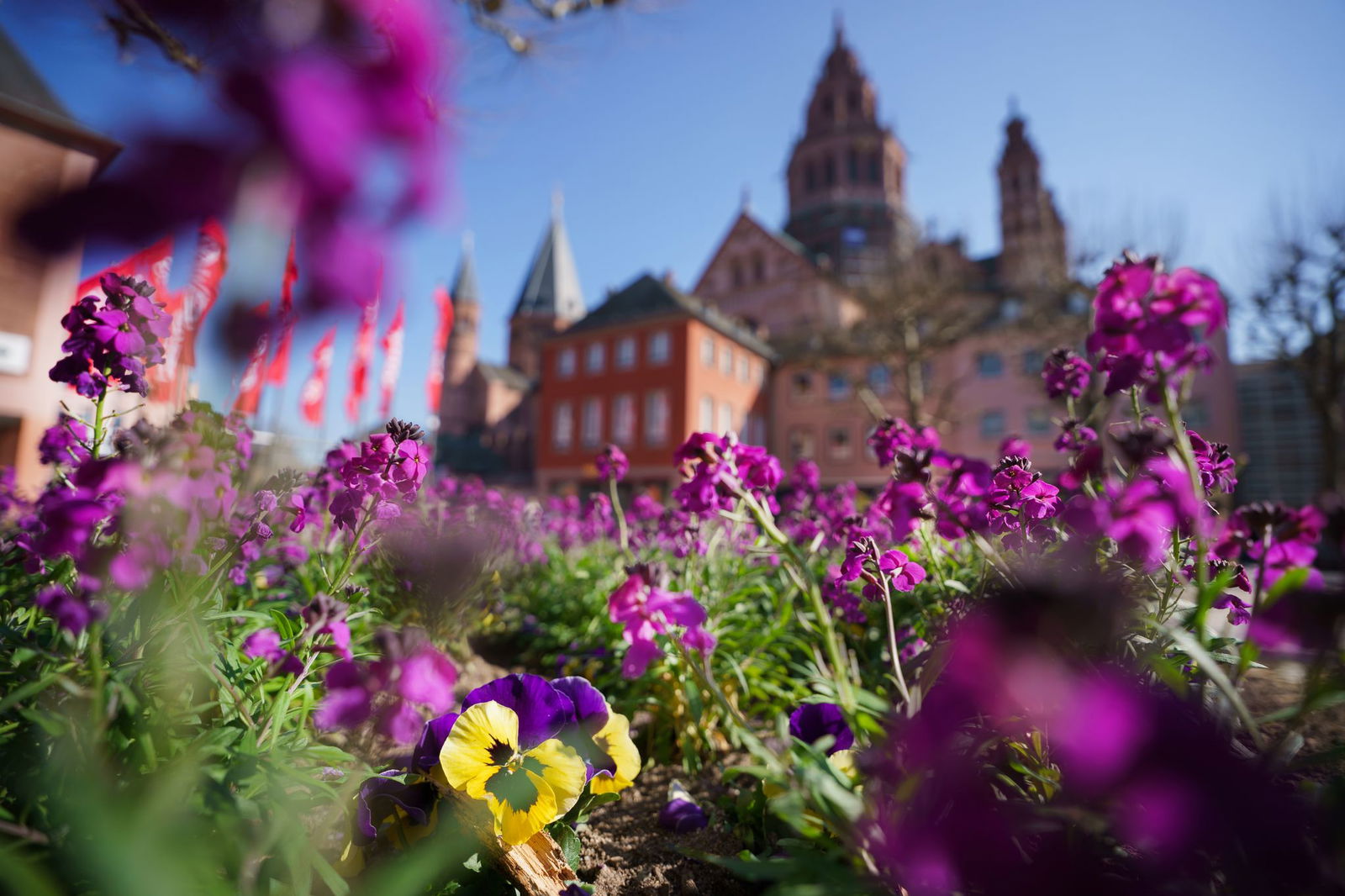 Einen strahlenden Himmel erwarten die Meteorologen in den nächsten Tagen häufiger. (Symbolbild)