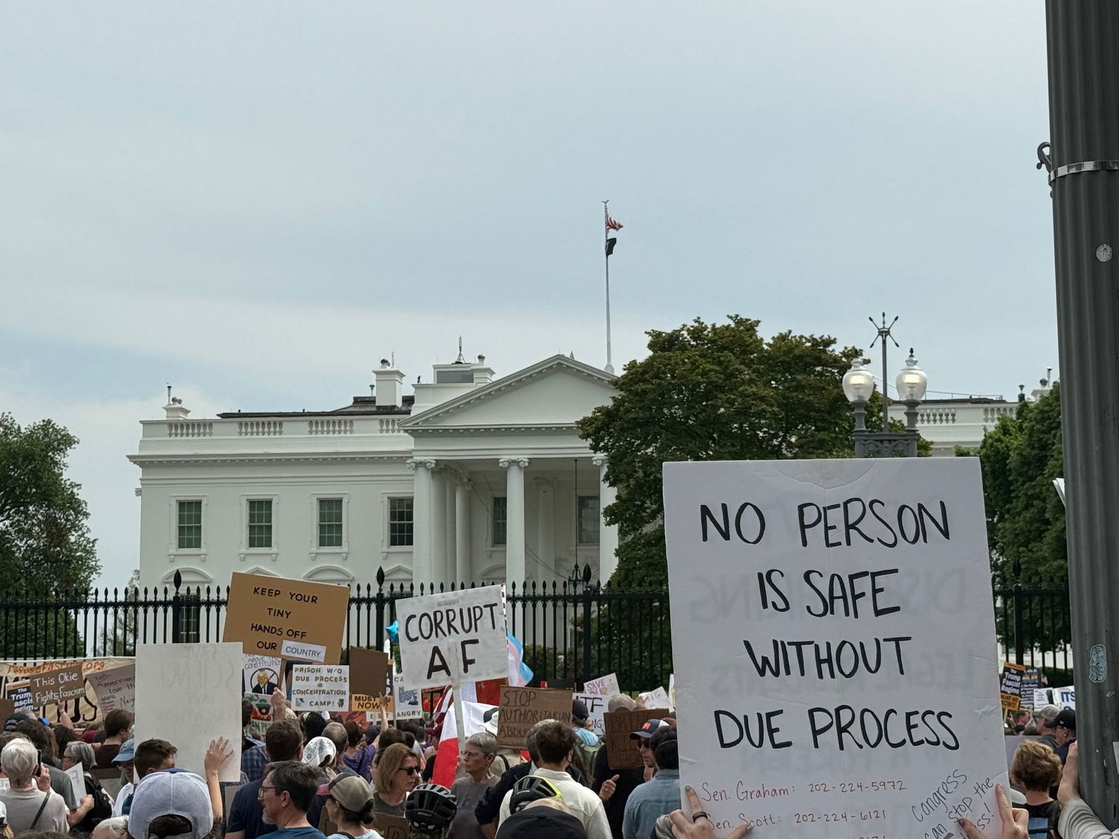 Proteste erreichen auch das Weiße Haus 