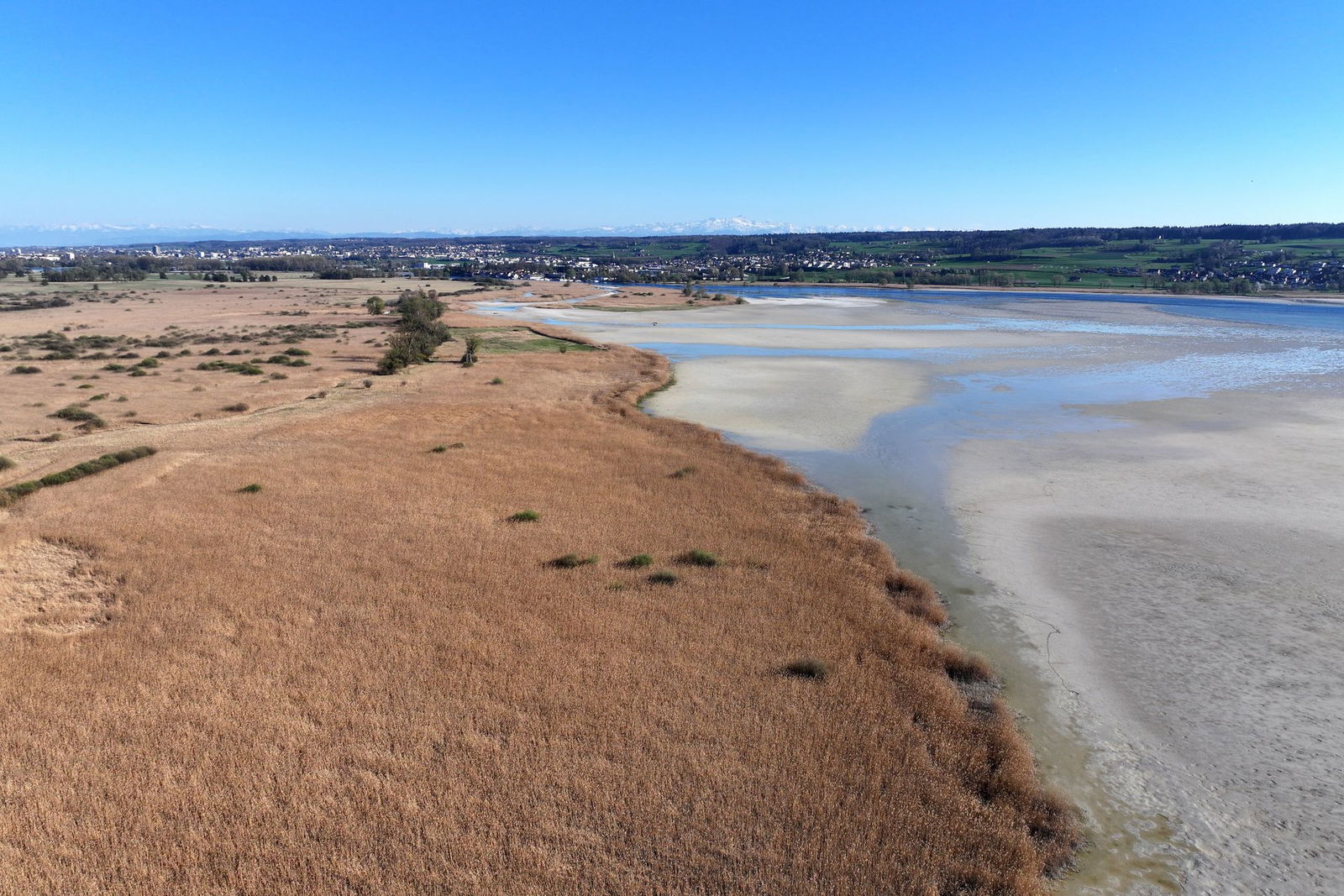 Die niedrigen Wasserstände haben laut einem Experten noch keine Auswirkungen auf die Fische. 