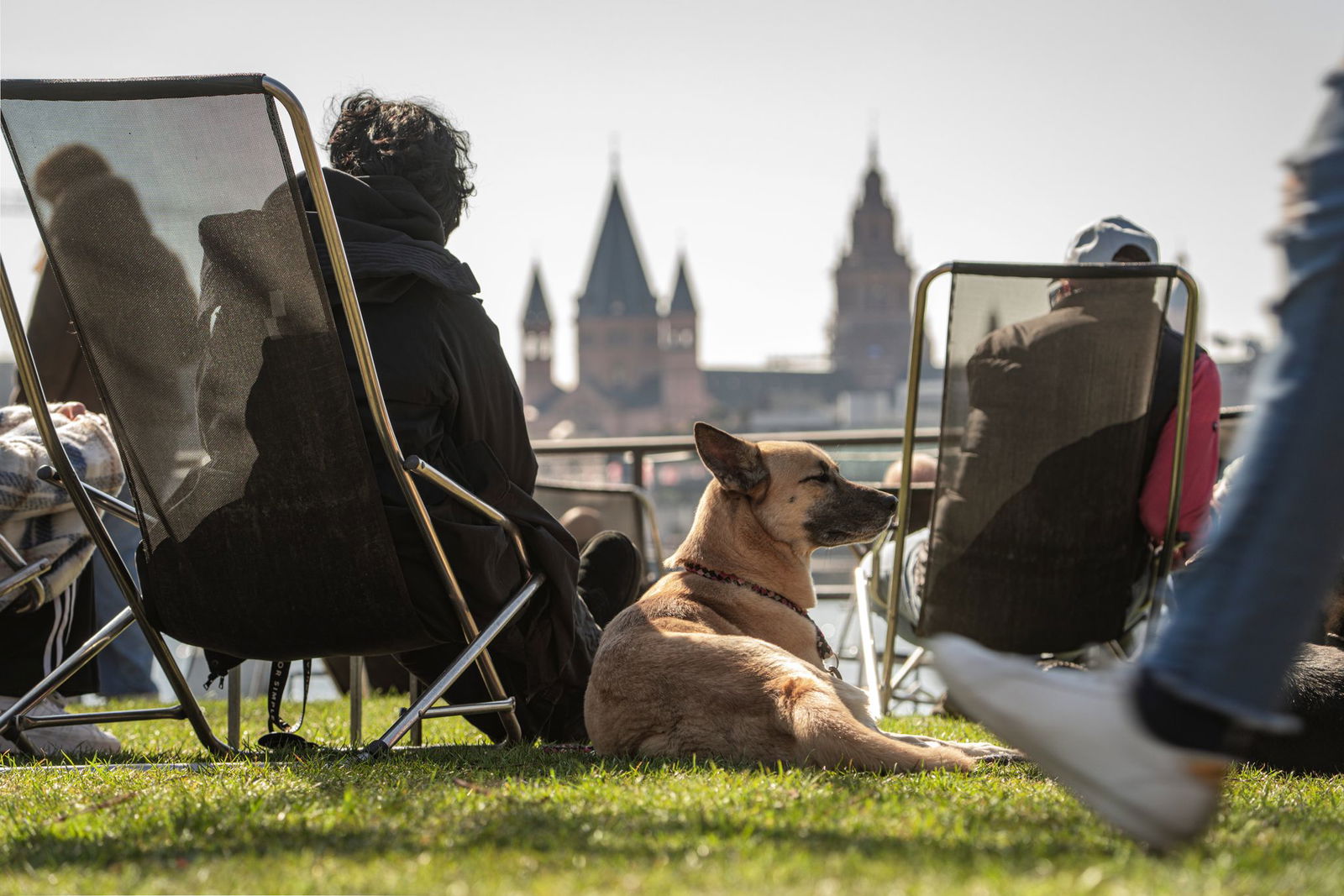 Viel Sonne und tagsüber milde Temperaturen bestimmen in den nächsten Tagen das Wetter. Nachts droht gebietsweise leichter Frost. (Archivfoto)