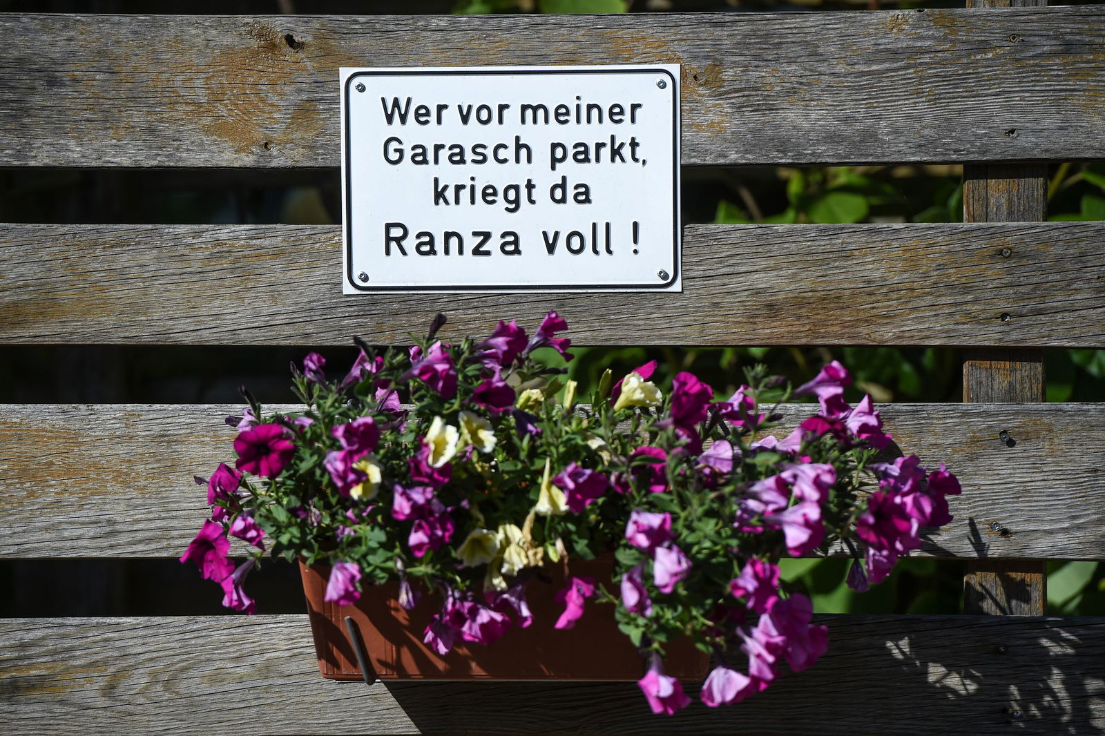 Die neue Imagekampagne trägt den Titel «DialektLänd» (Illustration).