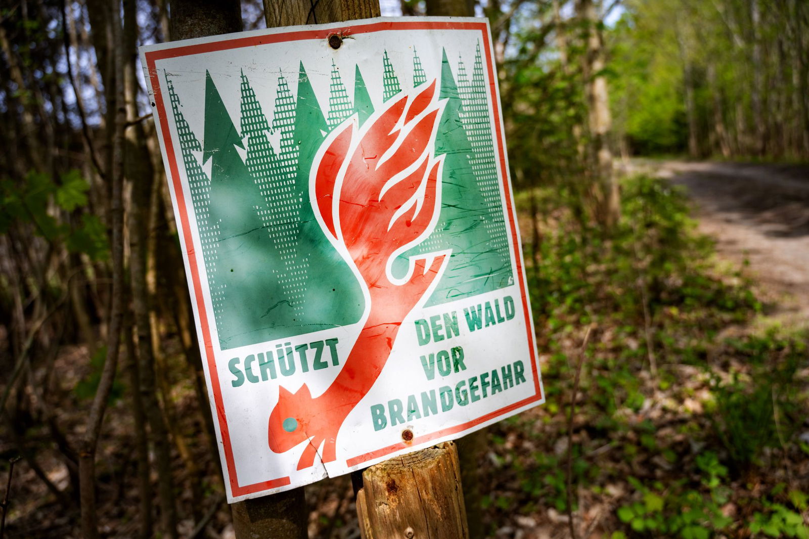 Nach einem extrem trockenen März droht in Rheinland-Pfalz schon Waldbrandgefahr. (Symbolbild) 