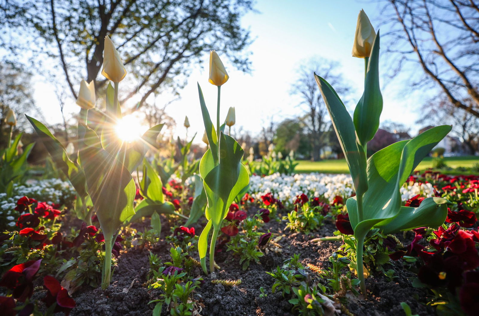In den nächsten Tagen soll es viel Sonne geben. (Archivbild) 