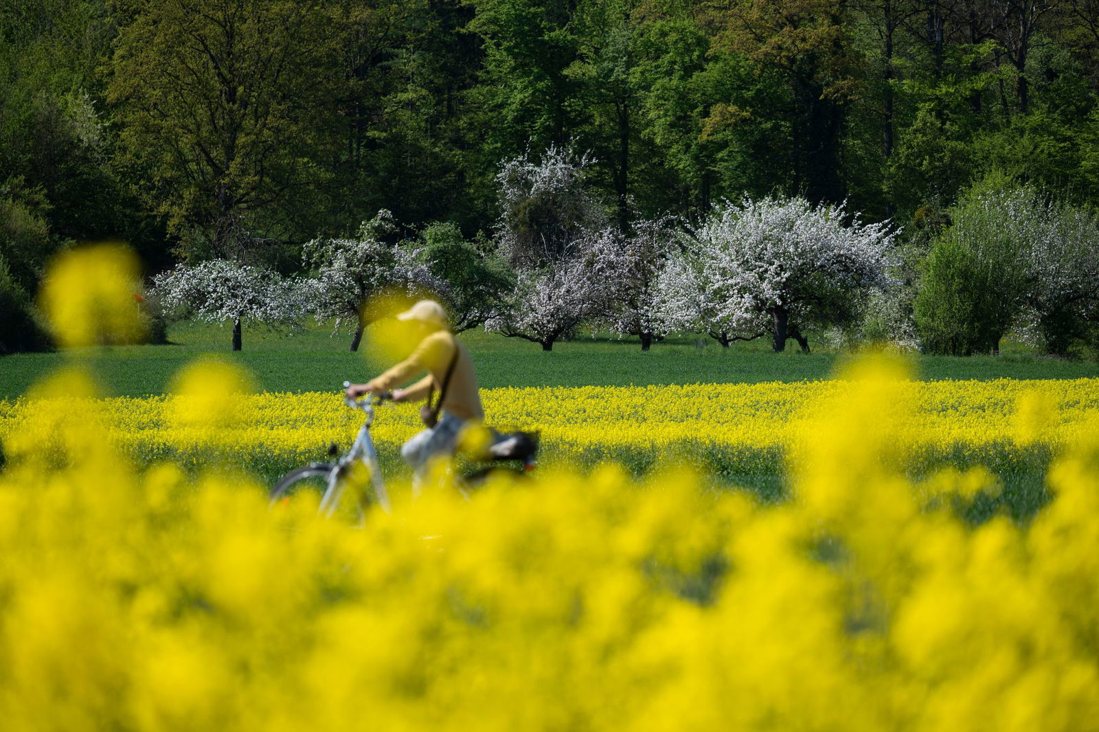 Der April war im Südwesten überwiegend sonnig und ungewöhnlich warm. 