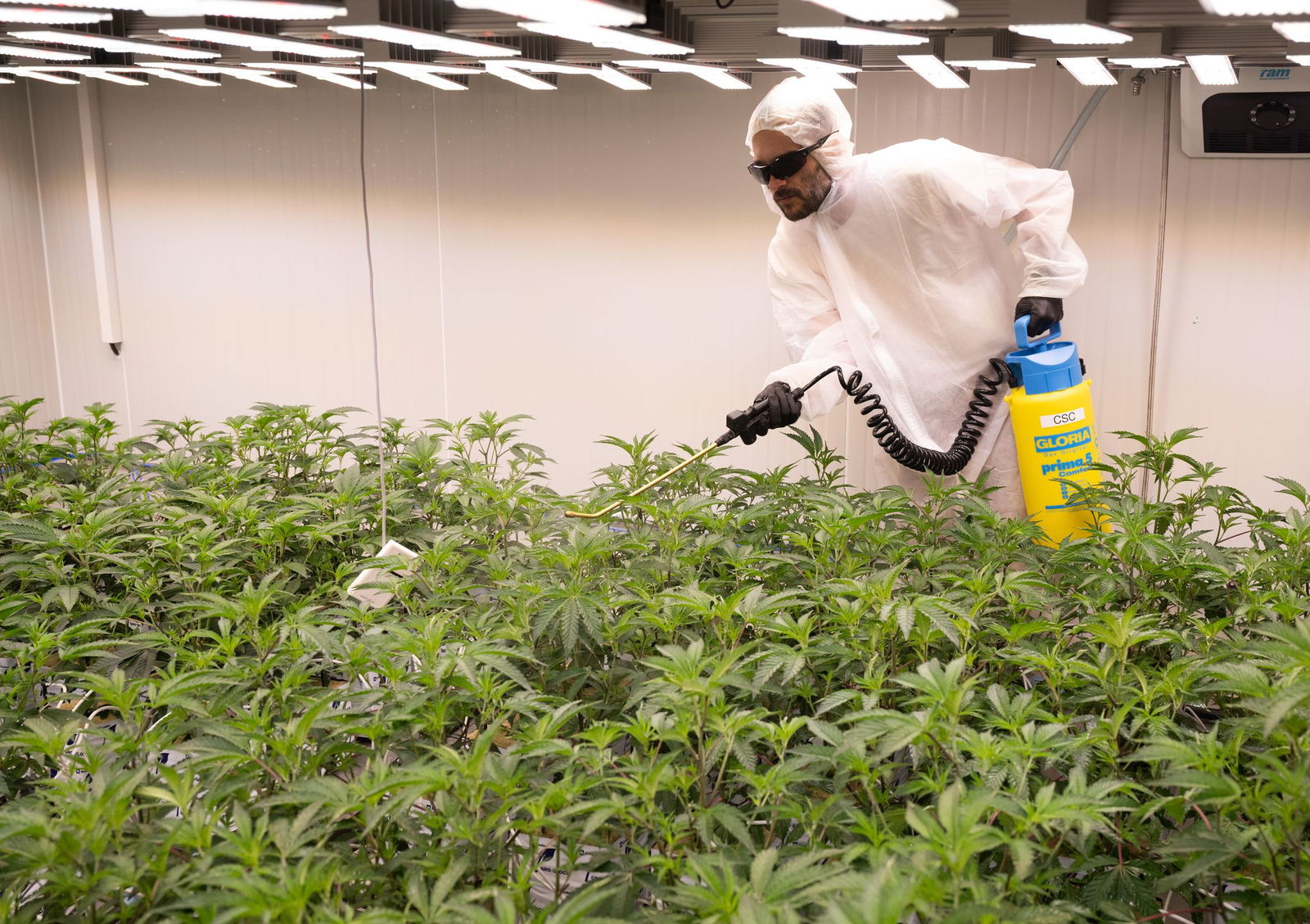 Bis zur Ernte ist eine Menge Arbeit nötig: Das Düngen gehört dazu. 