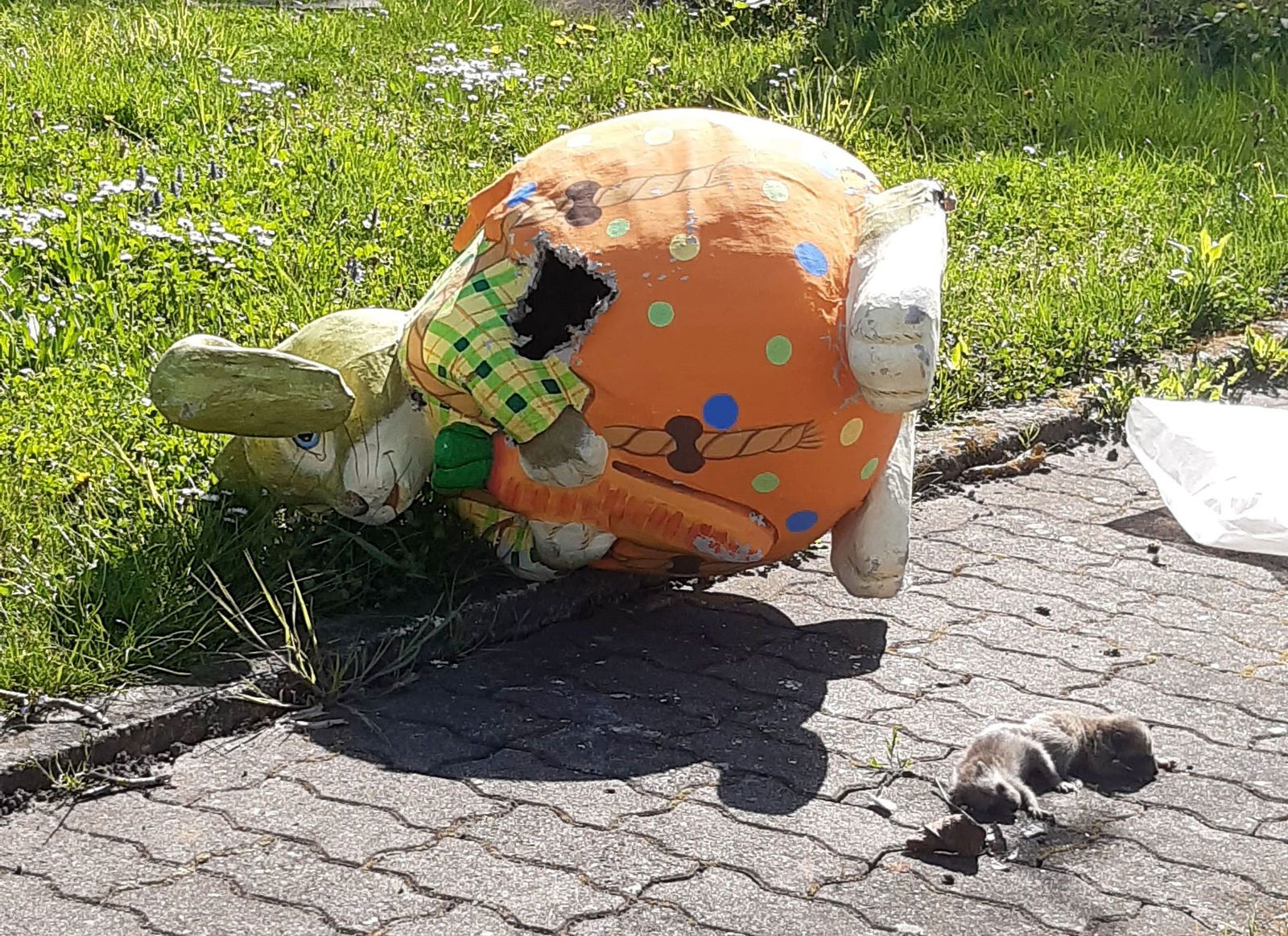 In dem Pappmasché-Osterhasen hat sich eine Waschbärin mit drei Jungen eingenistet. 