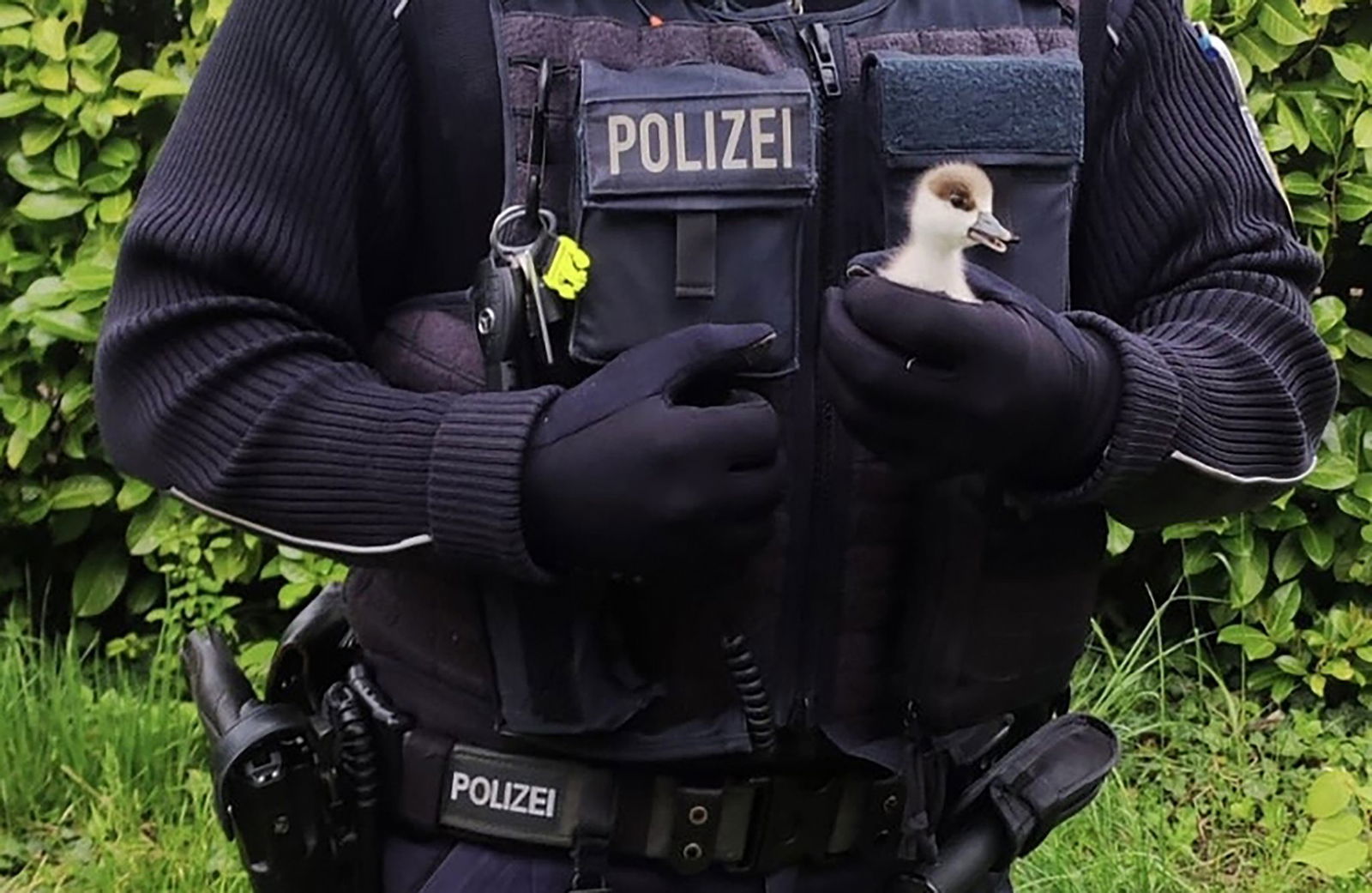 Ein Bundespolizist als Küken-Retter.
