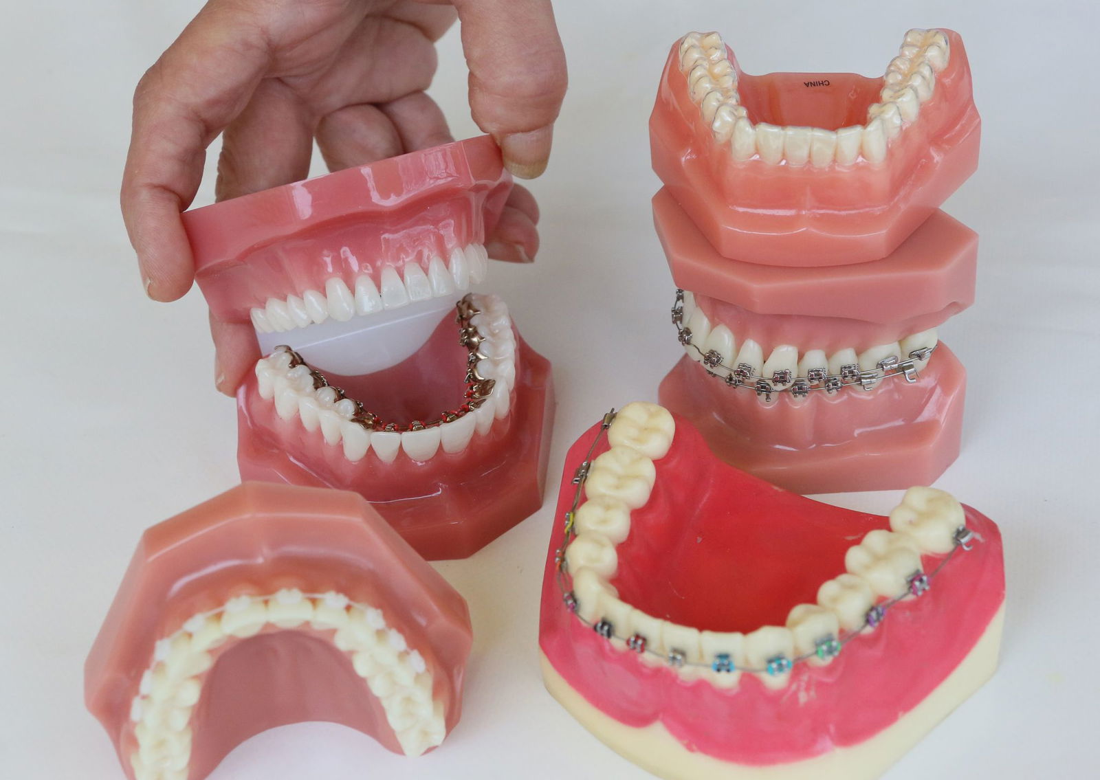 Ein Mann hat sein Gebiss in einem Garten verloren, den er zuvor verwüstet haben soll. (Symbolbild)