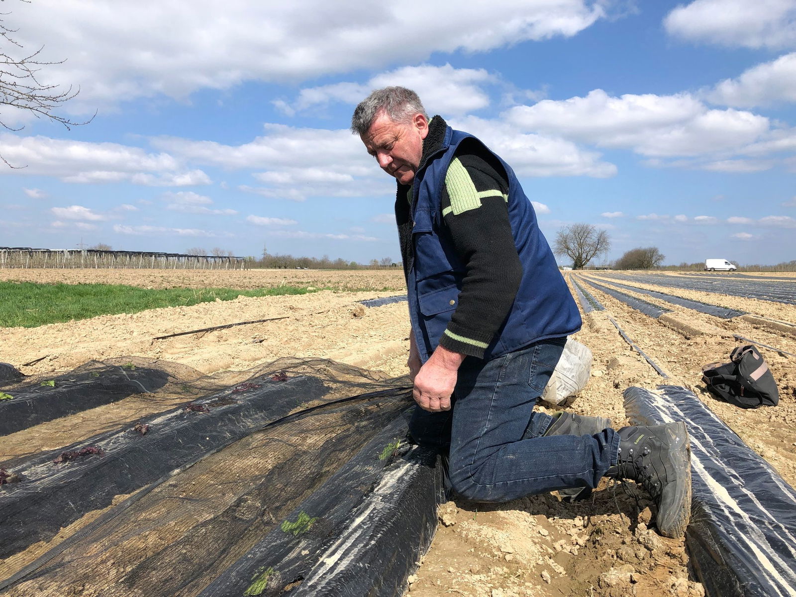 Landwirtschaftliche Betriebe beklagen Schäden durch Krähen. 