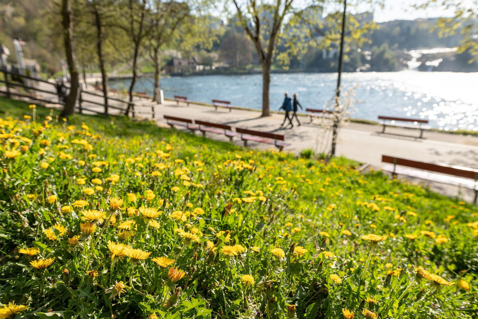 Bis zum Samstag bleibt es in Baden-Württemberg sonnig und warm.