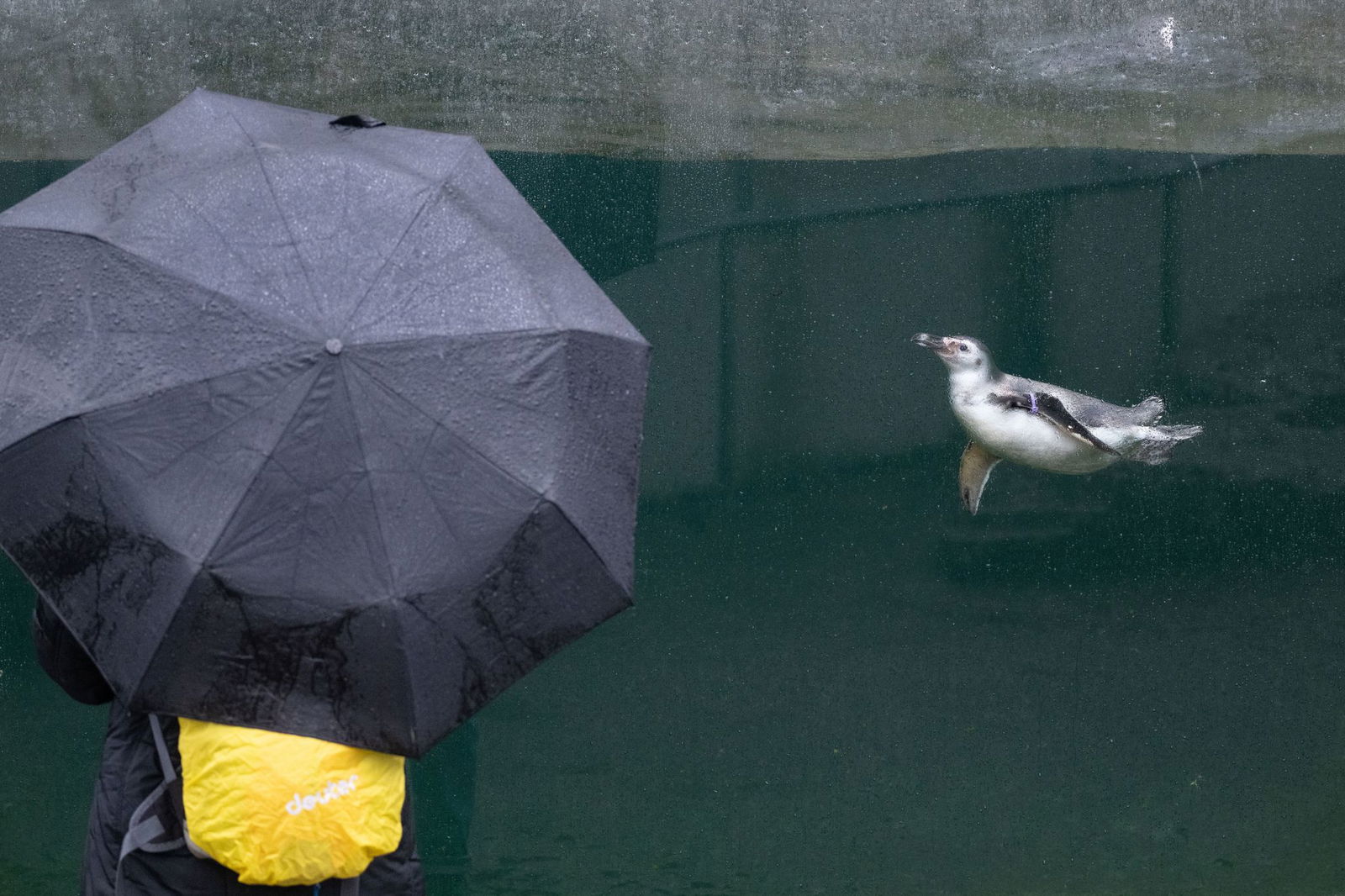 Im Südwesten kann es donnern und blitzen. (Archivbild)