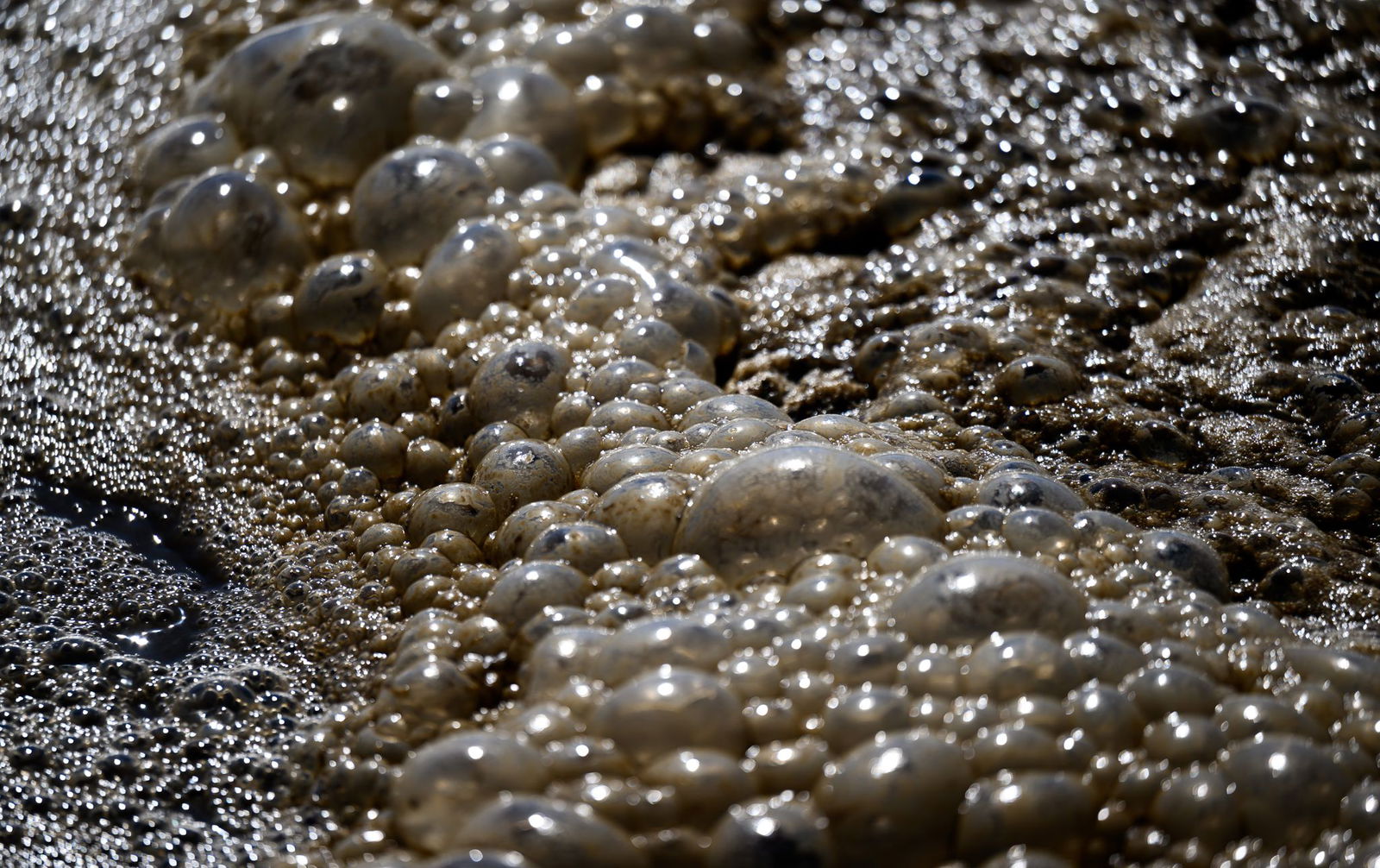 Das Abwasser in der Kläranlage in Mainz soll zukünftig durch eine weitere, vierte Reinigungsstufe laufen, um noch mehr Rückstände herauszufiltern. (Symbolfoto)