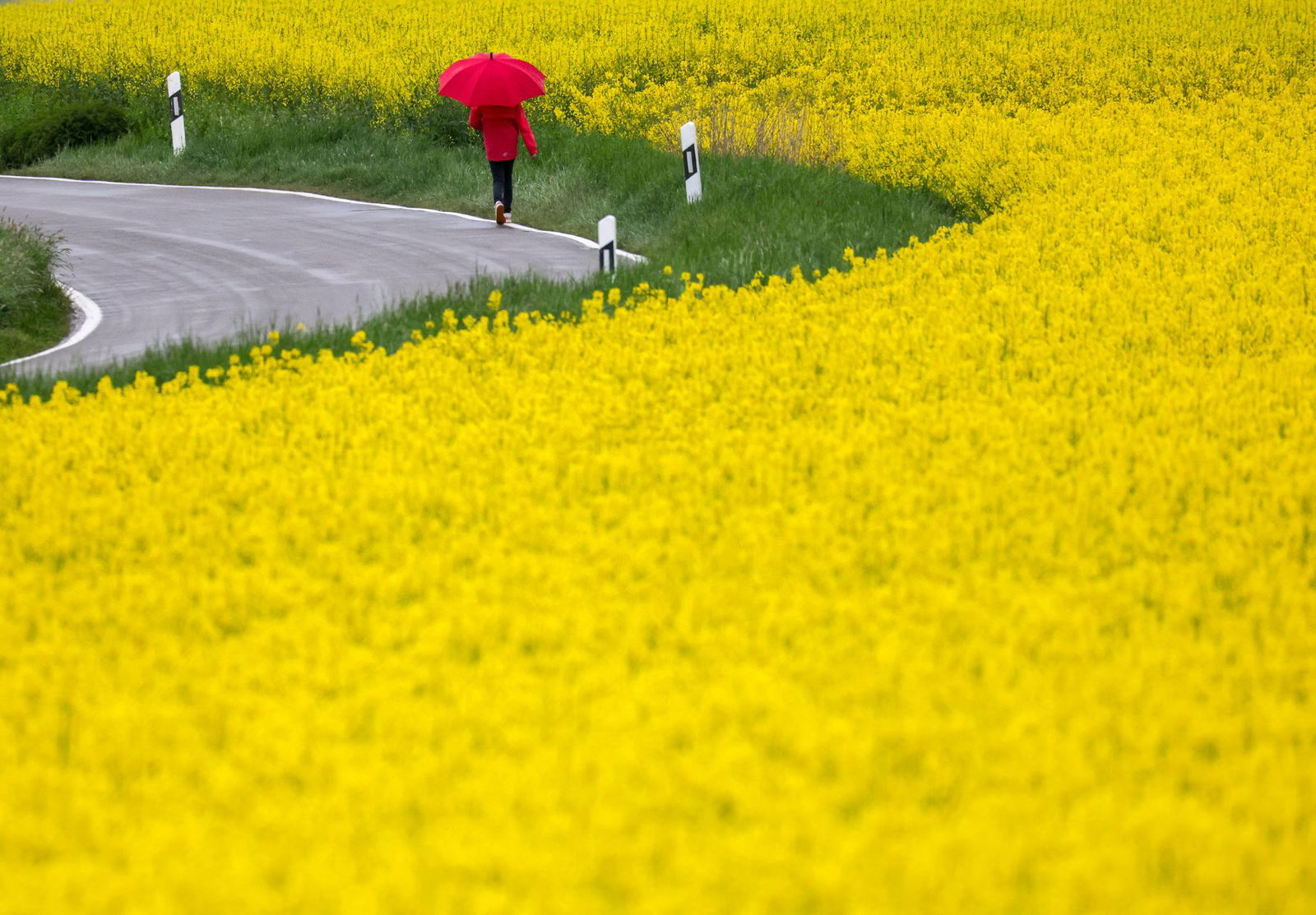 Im Südwesten wird es diese Woche nass: Der Deutsche Wetterdienst prognostiziert Schauer bis hin zu Starkregen. 