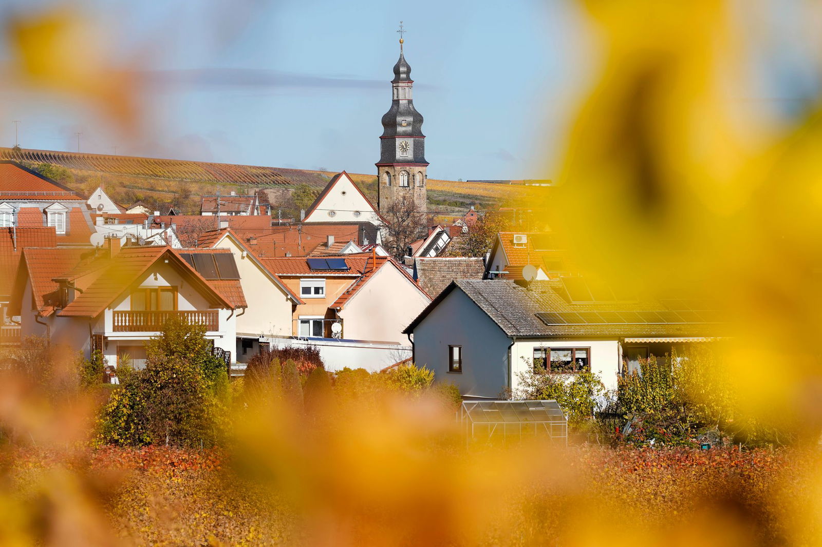 Das Winzerdorf Kallstadt im Kreis Bad Dürkheim hat etwa 1.200 Einwohner. (Archivfoto)