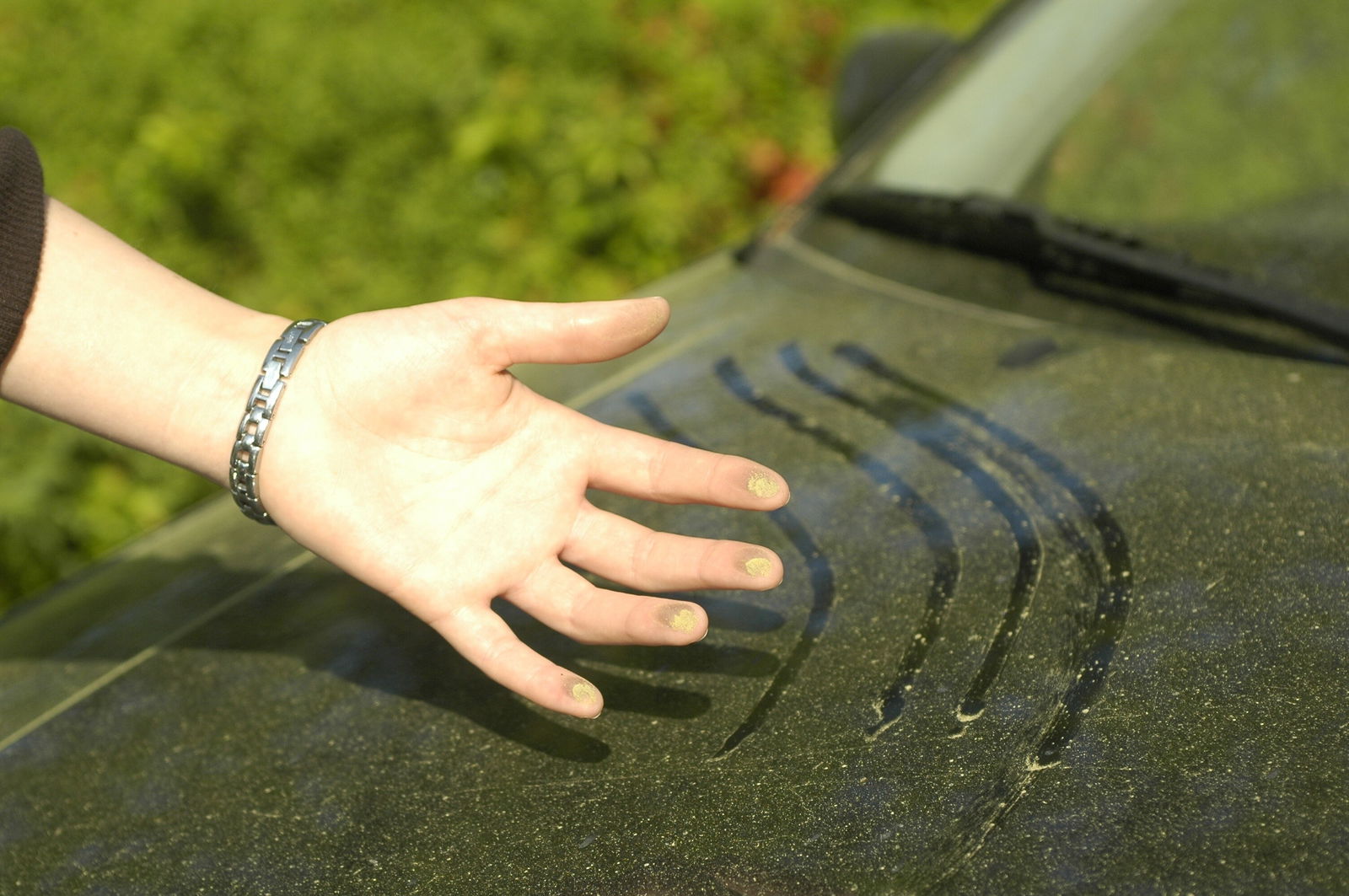 Blütenstaub auf Auto