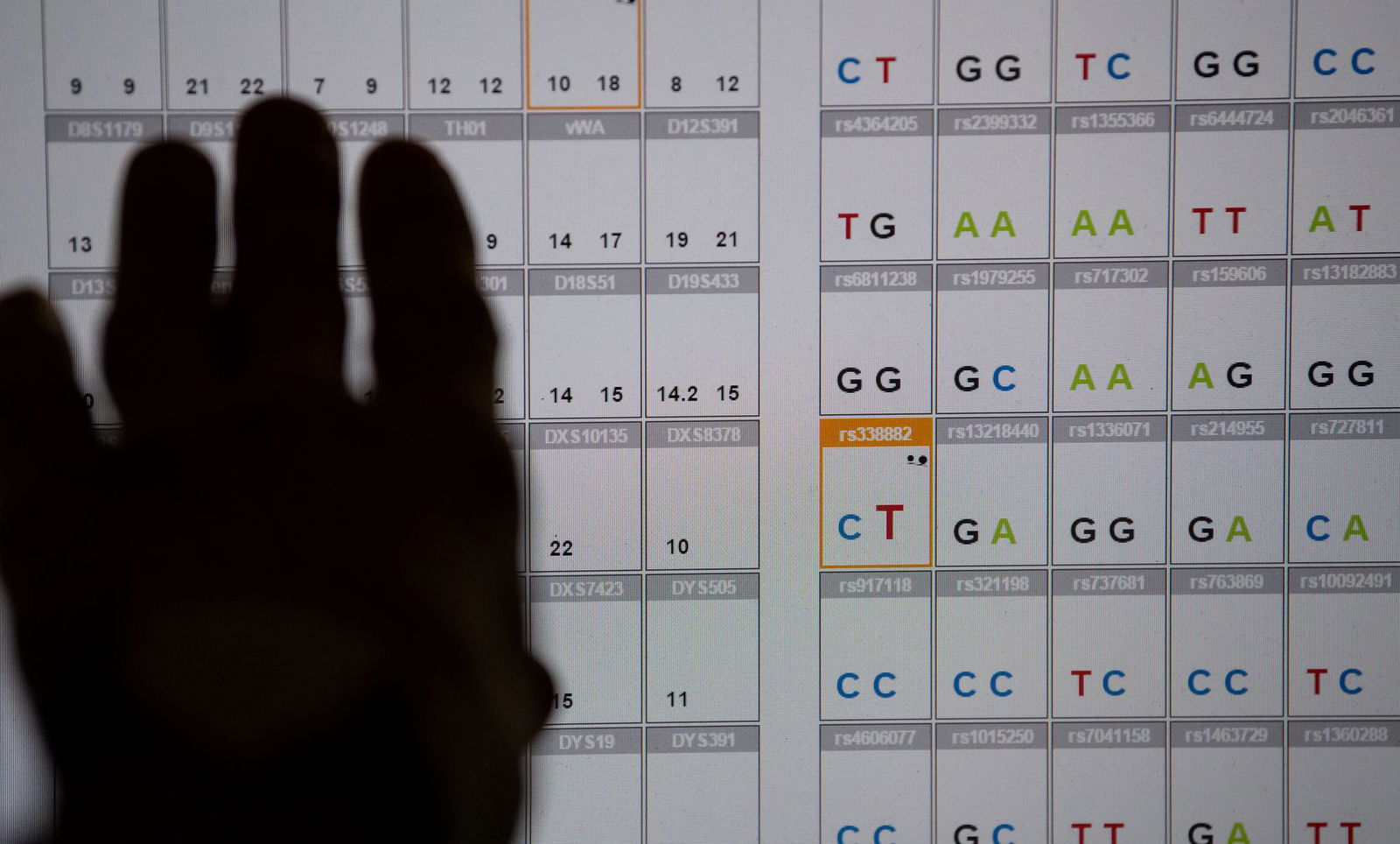 Das Ergebnis einer DNA-Sequenzanalyse im Labor des Bayerischen Landeskriminalamts (LKA). Bayern und Baden-Württemberg fordern eine Ausweitung der DNA-Analyse bei der Fahndung nach Straftätern. (Symbolbild)